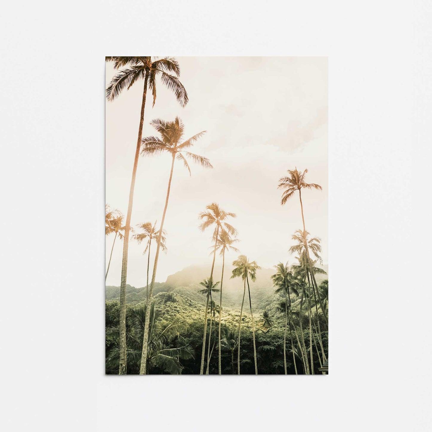 Palm Tree Skyline Promotional Rolled Print