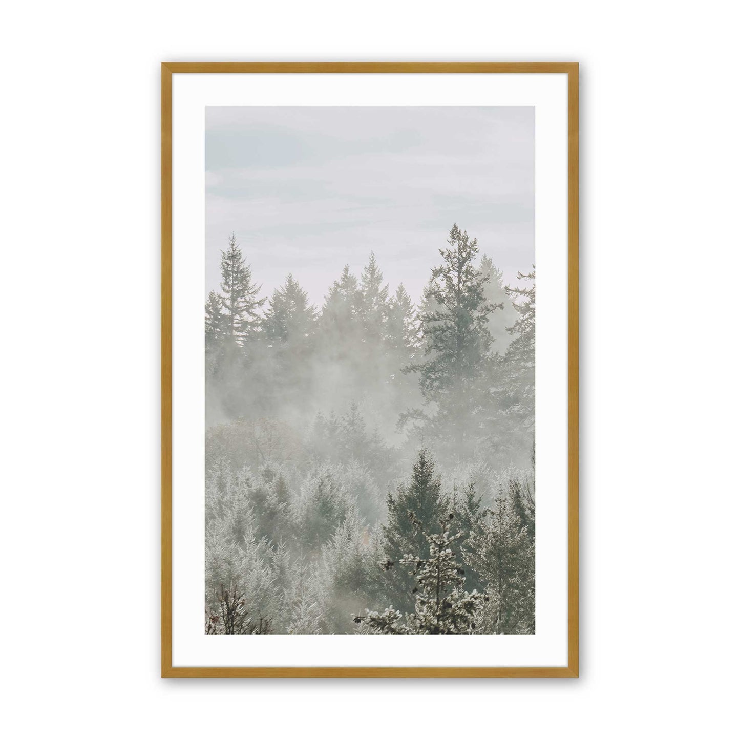 [Color:Polished Gold], Picture of art in a Polished Gold frame