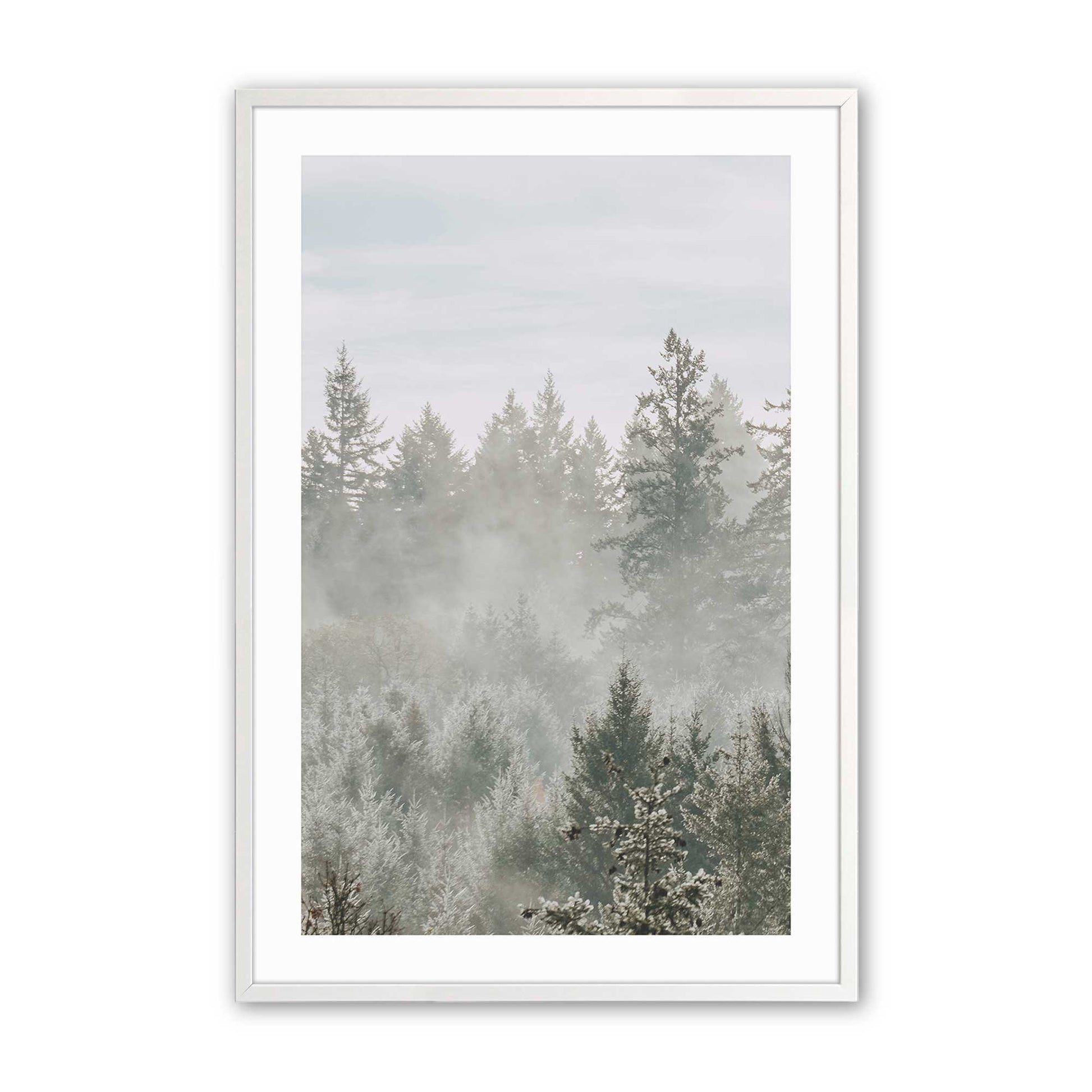 [Color:Opaque White], Picture of art in a Opaque White frame