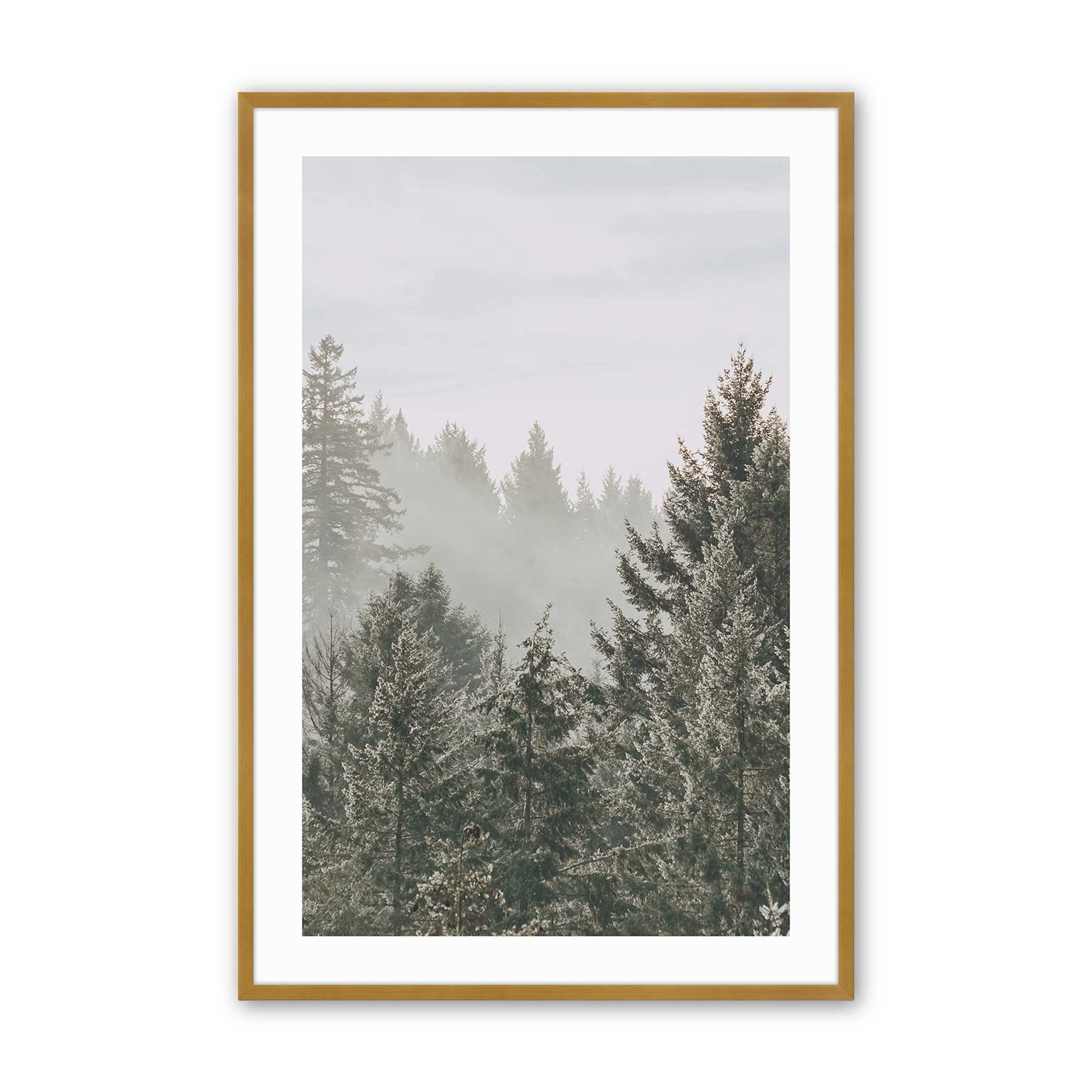 [Color:Polished Gold], Picture of art in a Polished Gold frame