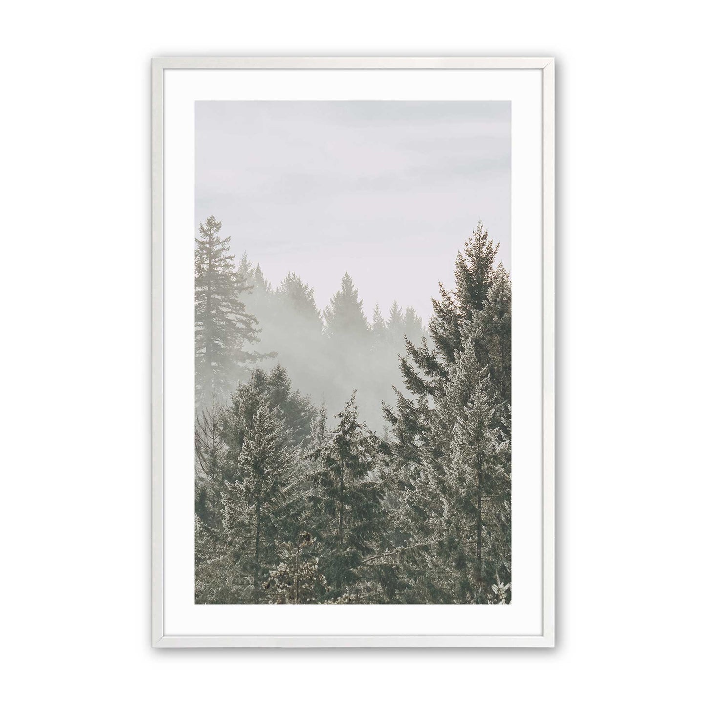 [Color:Opaque White], Picture of art in a Opaque White frame