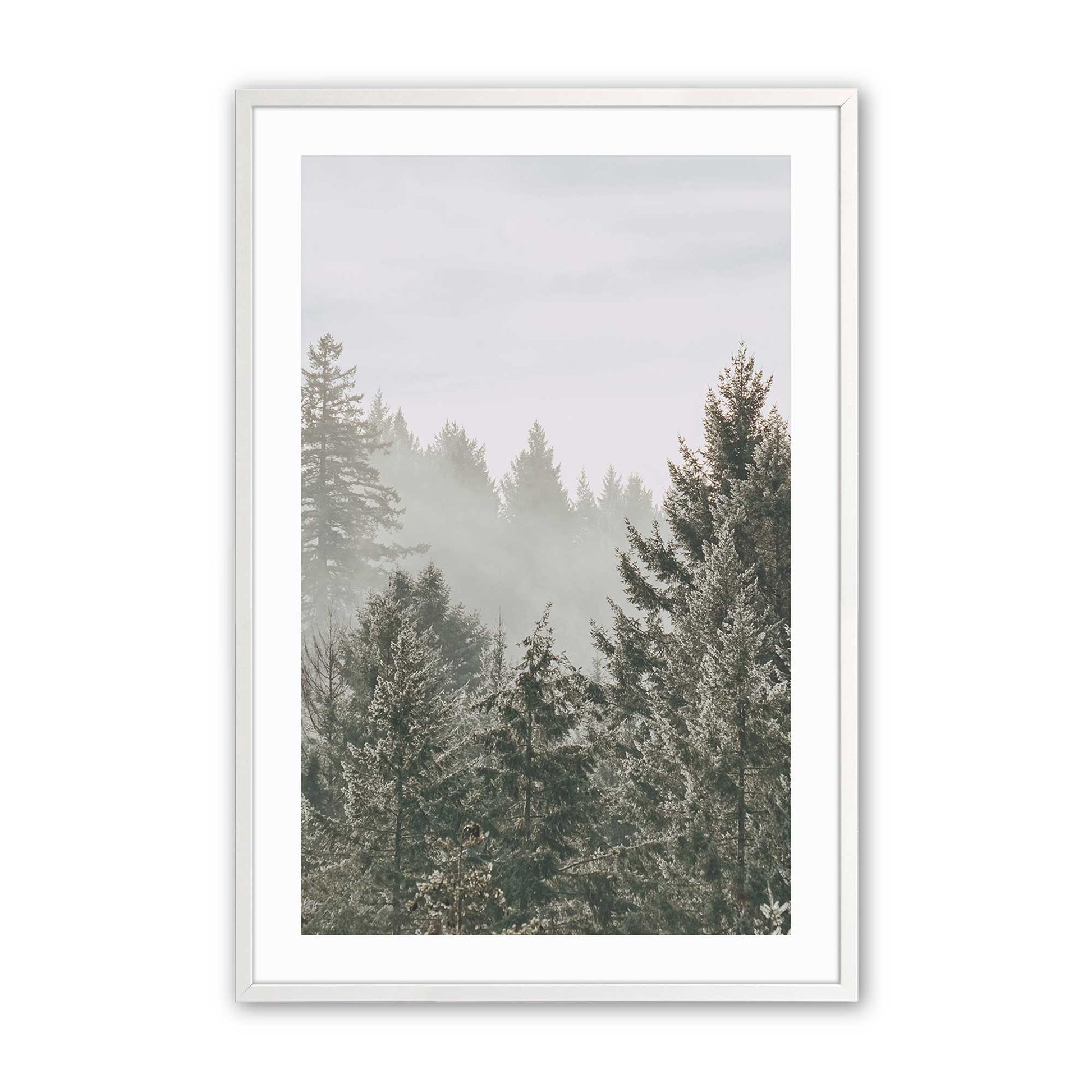 [Color:Opaque White], Picture of art in a Opaque White frame
