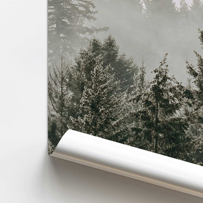 Hushed Evergreens II Promotional Rolled Print