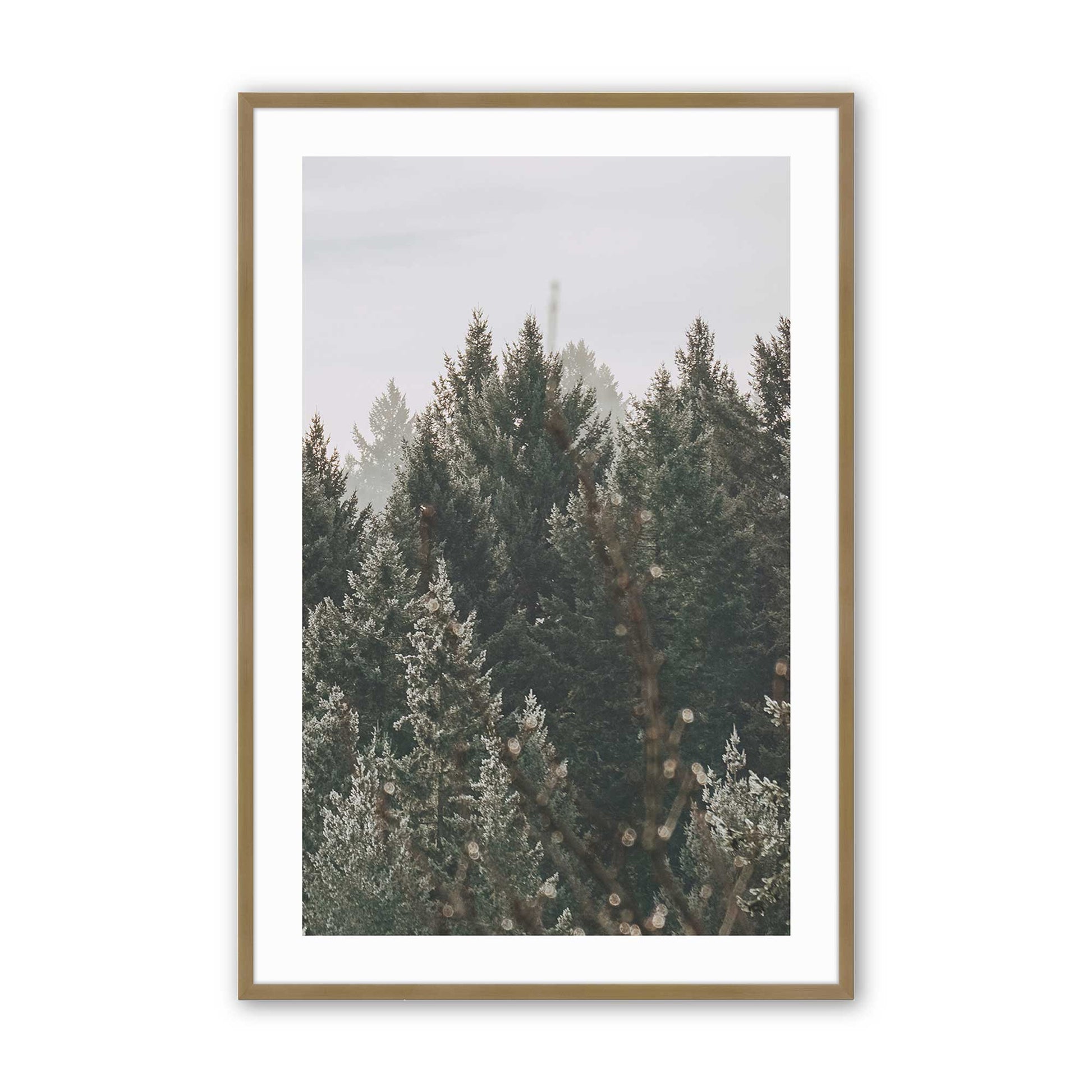 [Color:Brushed Gold], Picture of art in a Brushed Gold frame