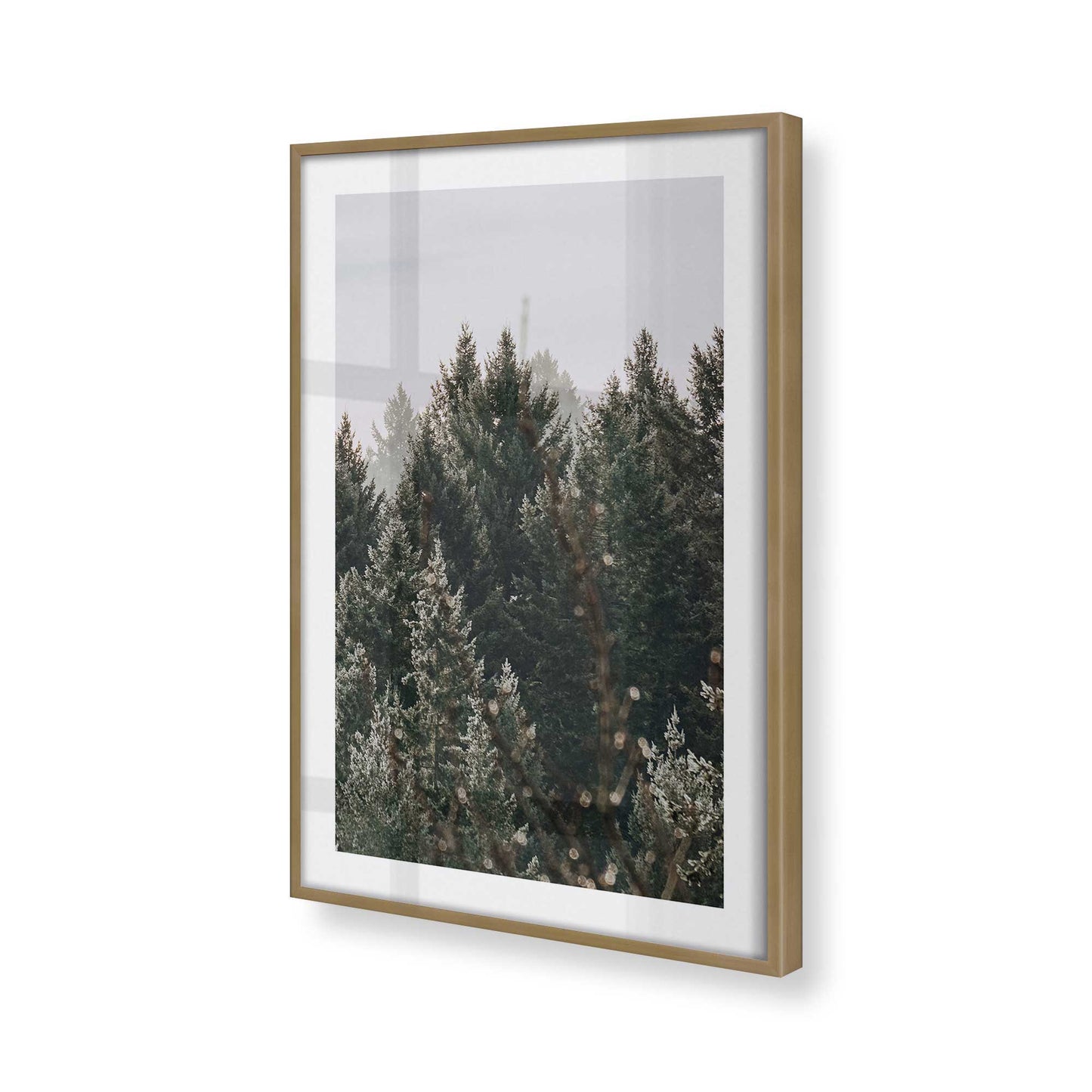 [Color:Brushed Gold], Picture of art in a Brushed Gold frame of the corner
