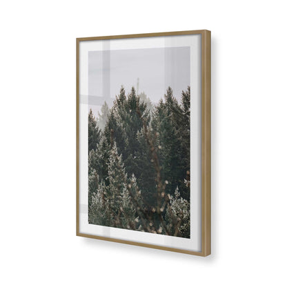 [Color:Brushed Gold], Picture of art in a Brushed Gold frame of the corner