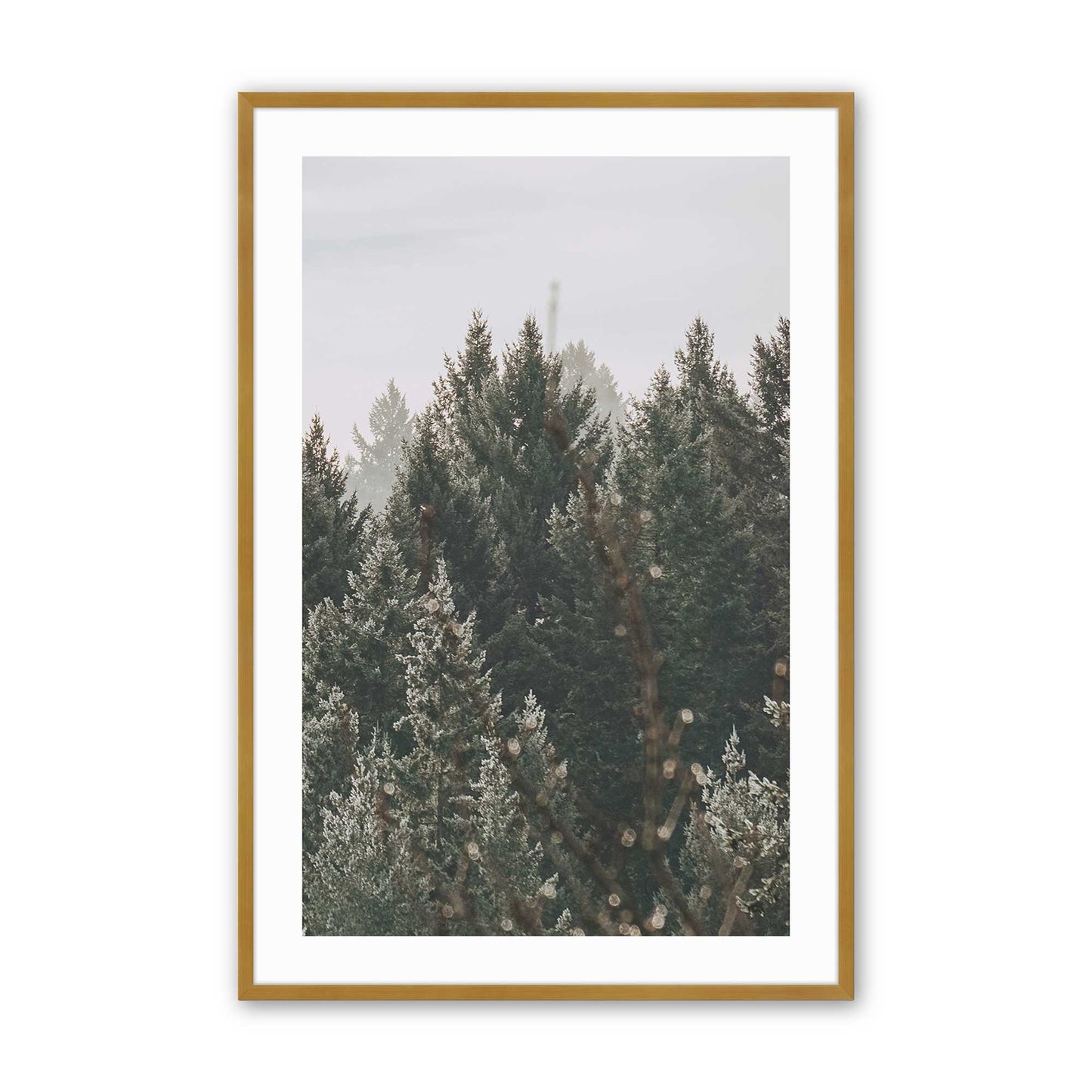 [Color:Polished Gold], Picture of art in a Polished Gold frame