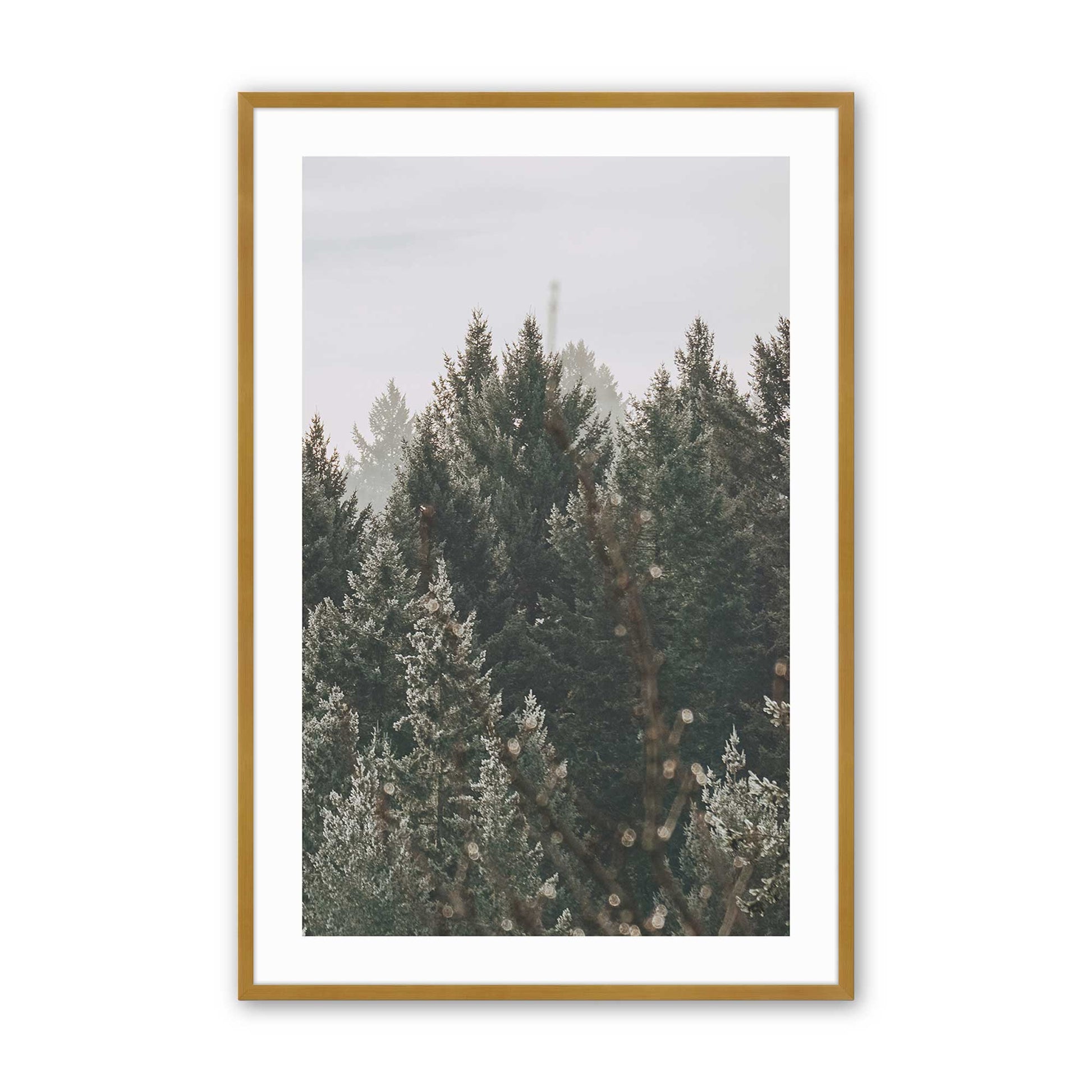 [Color:Polished Gold], Picture of art in a Polished Gold frame