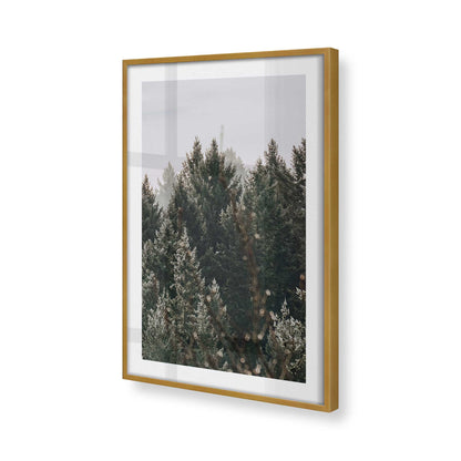 [Color:Polished Gold], Picture of art in a Polished Gold frame of the corner