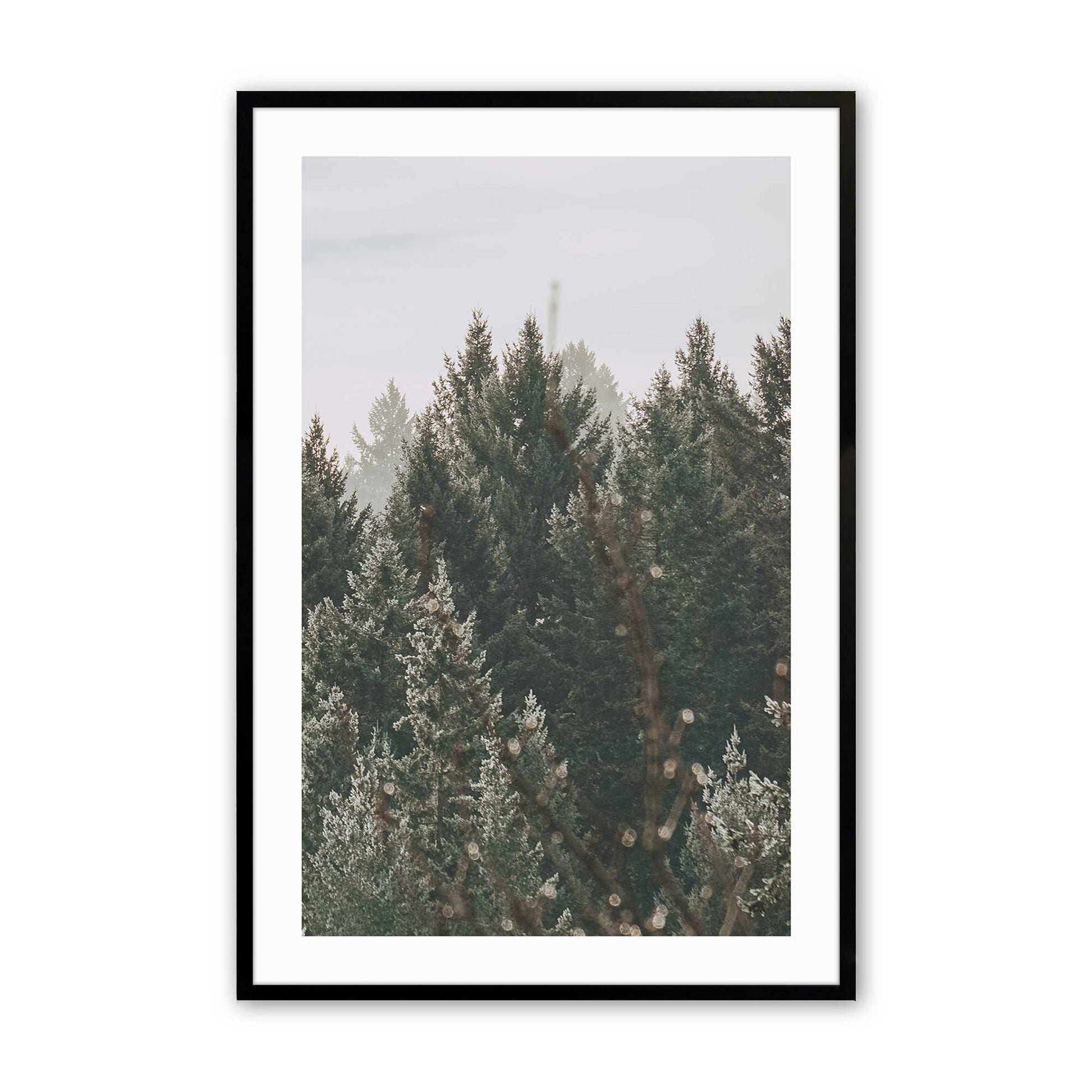 [Color:Satin Black], Picture of art in a Satin Black frame