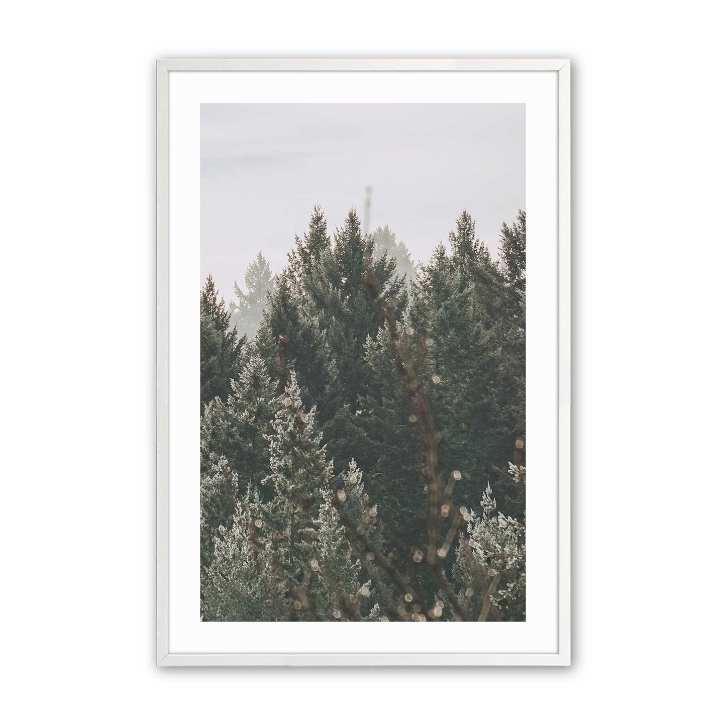 [Color:Opaque White], Picture of art in a Opaque White frame