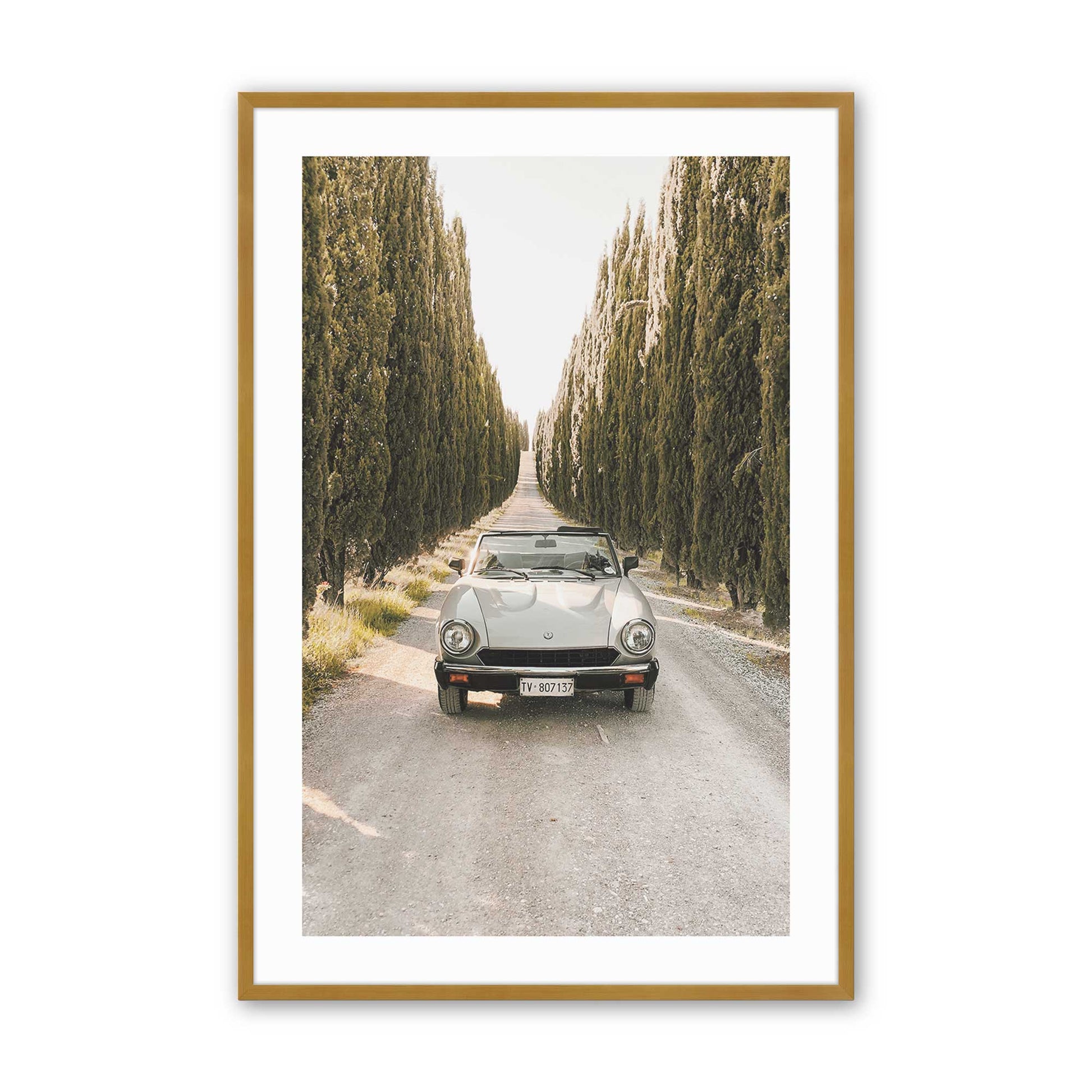 [Color:Polished Gold], Picture of art in a Polished Gold frame