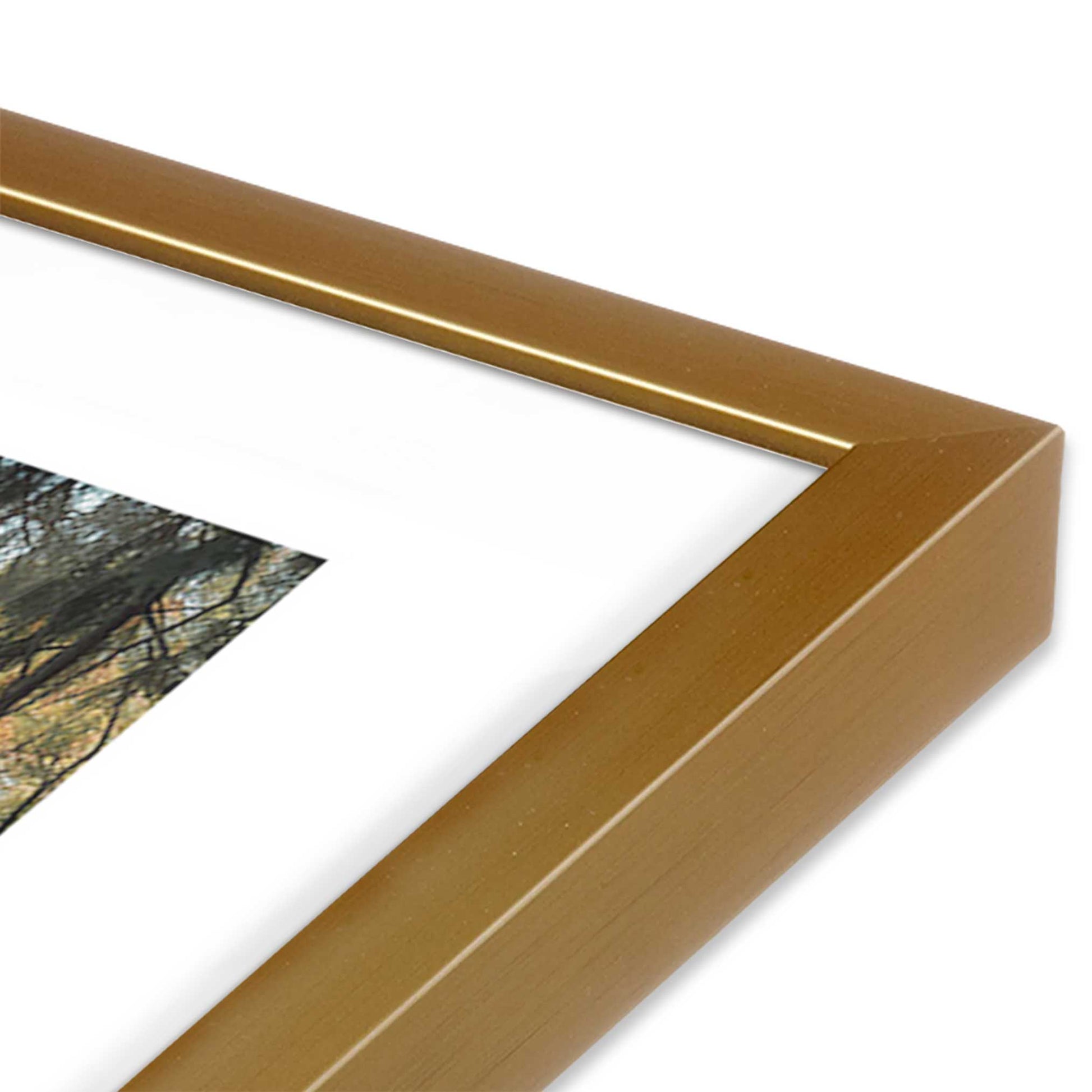 [Color:Polished Gold], Picture of art in a Polished Gold frame at an angle