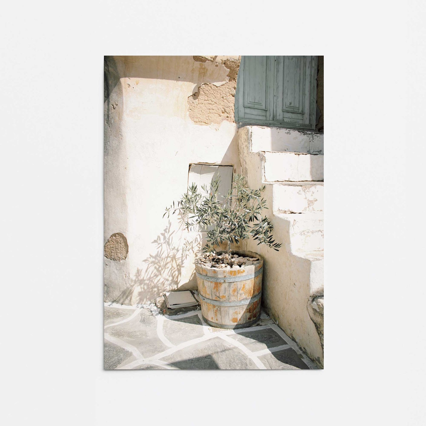 Olive Tree in the Sun Promotional Rolled Print