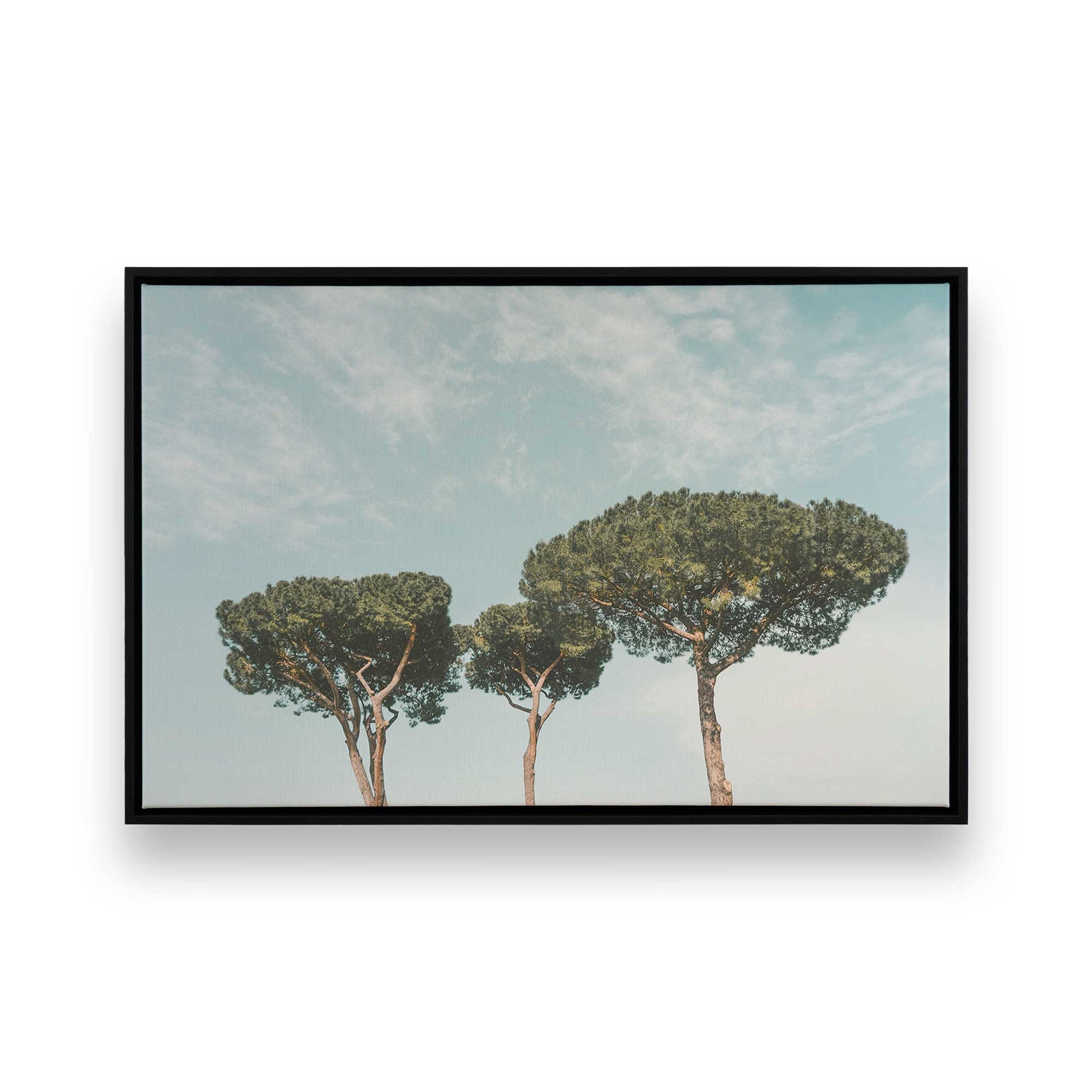 [Color:Satin Black],[SPECIAL], Front image of the art