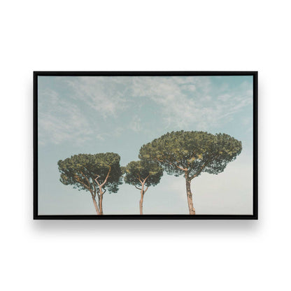 [Color:Satin Black],[SPECIAL], Front image of the art