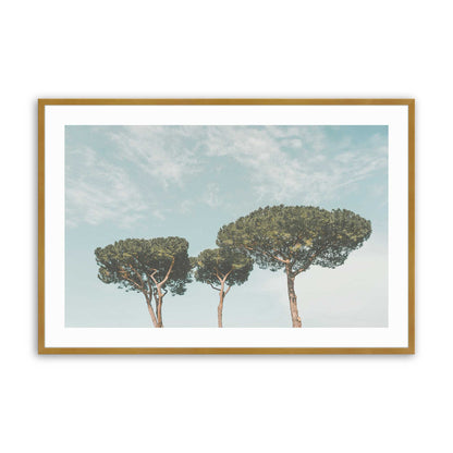 [Color:Polished Gold], Picture of art in a Polished Gold frame