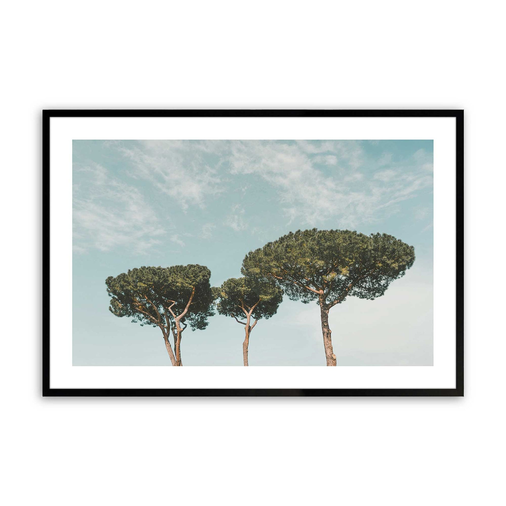 [Color:Satin Black],[SPECIAL], Front image of the art