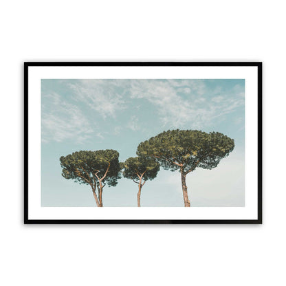 [Color:Satin Black],[SPECIAL], Front image of the art