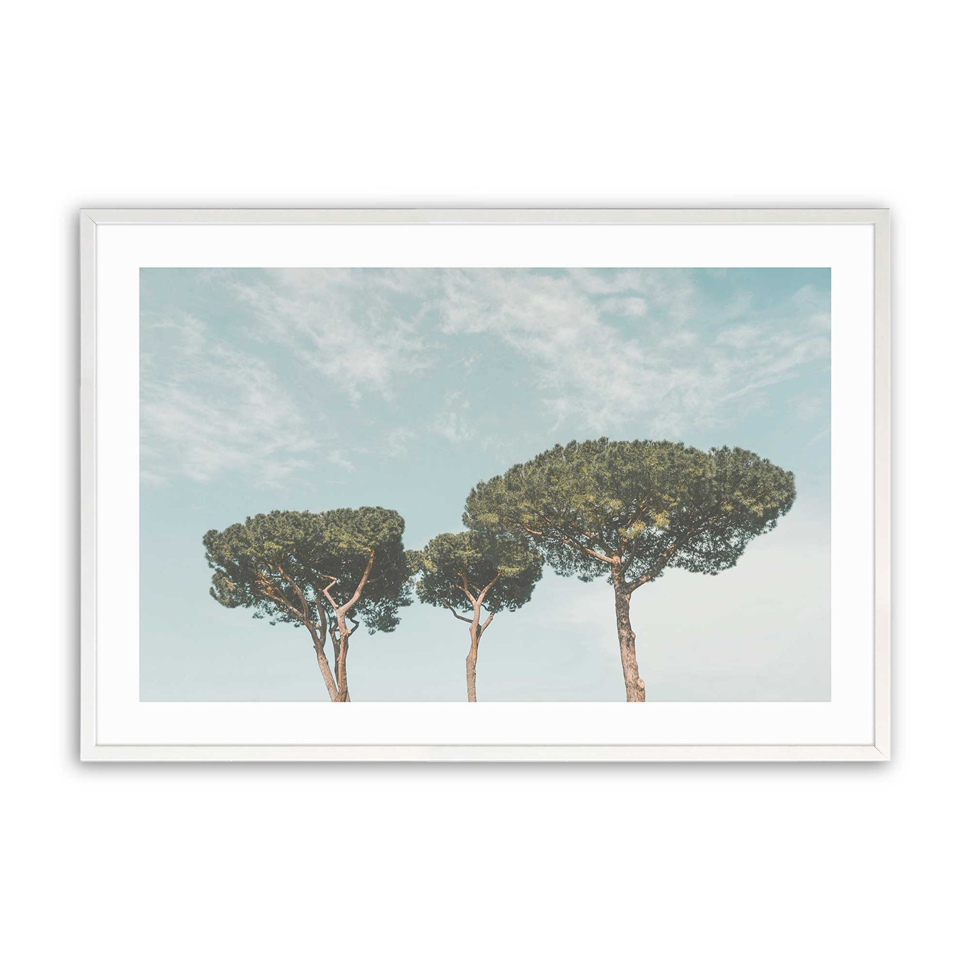 [Color:Opaque White], Picture of art in a Opaque White frame