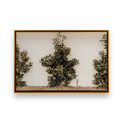 [Color:Polished Gold] Picture of art in a Polished Gold frame