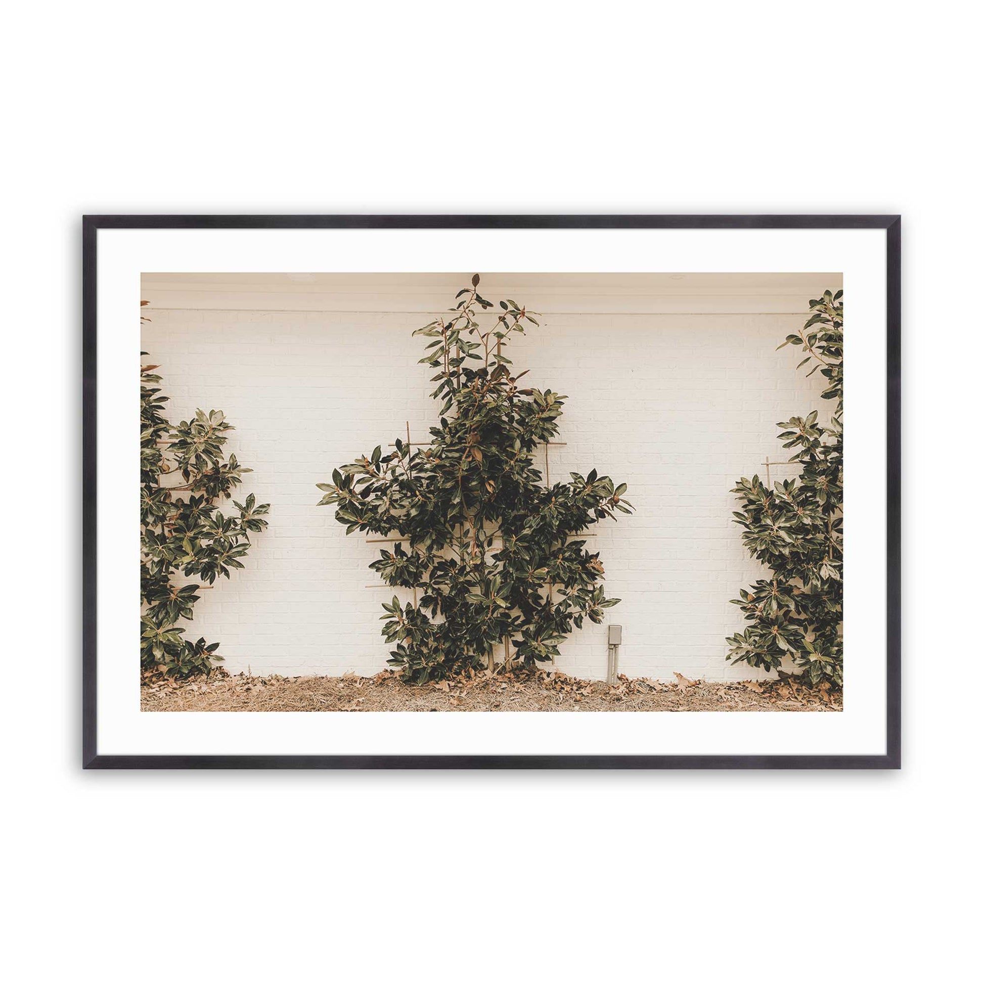 [Color:Weathered Zinc], Picture of art in a Weathered Zinc frame