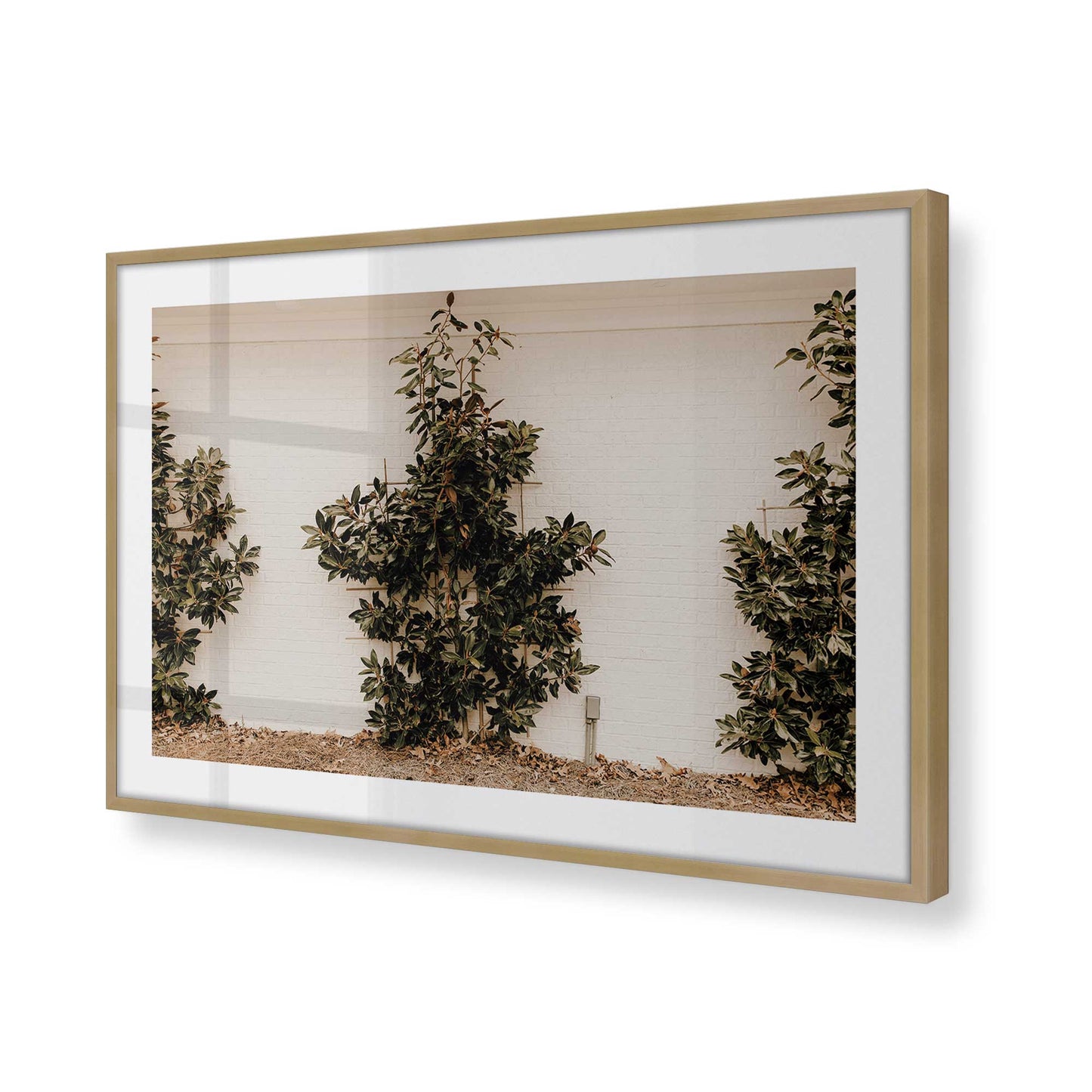 [Color:Brushed Gold], Picture of art in a Brushed Gold frame of the corner