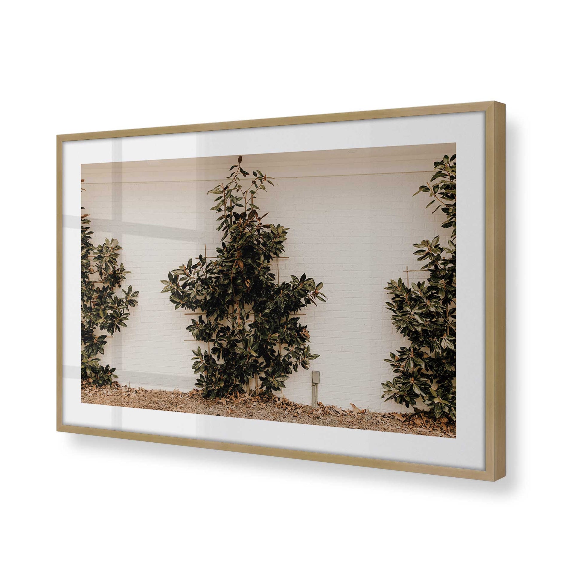 [Color:Brushed Gold], Picture of art in a Brushed Gold frame of the corner