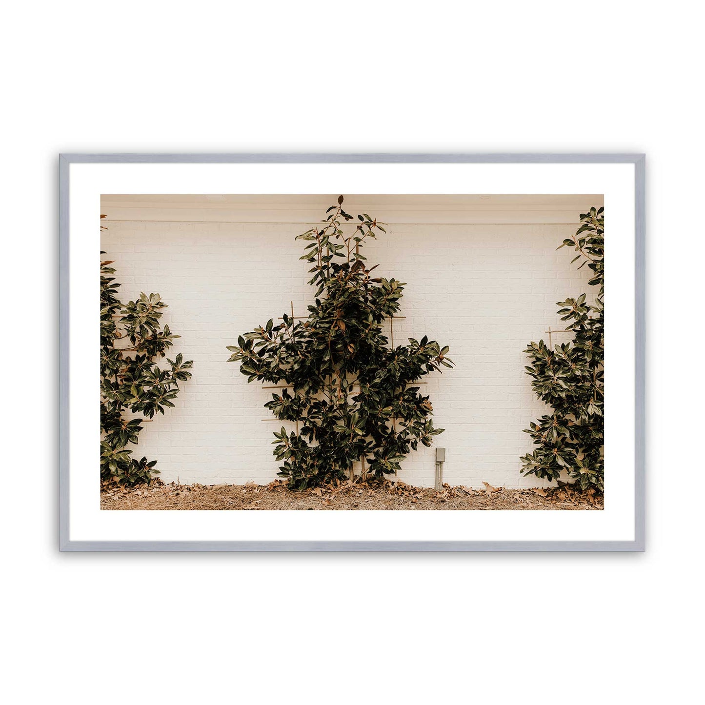 [Color:Polished Chrome], Picture of art in a Polished Chrome frame