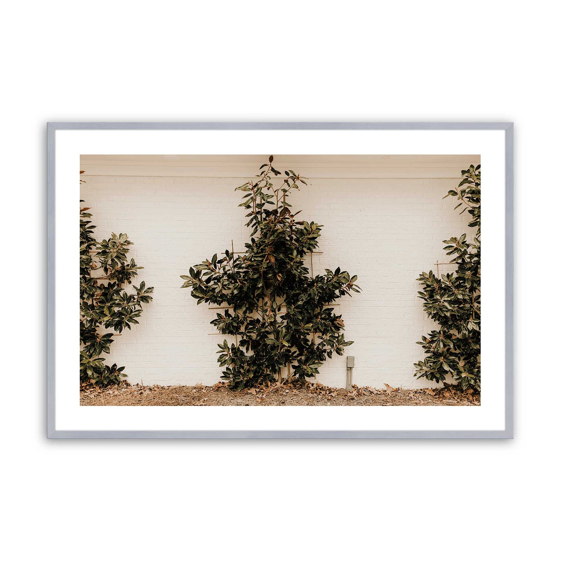 [Color:Polished Chrome], Picture of art in a Polished Chrome frame
