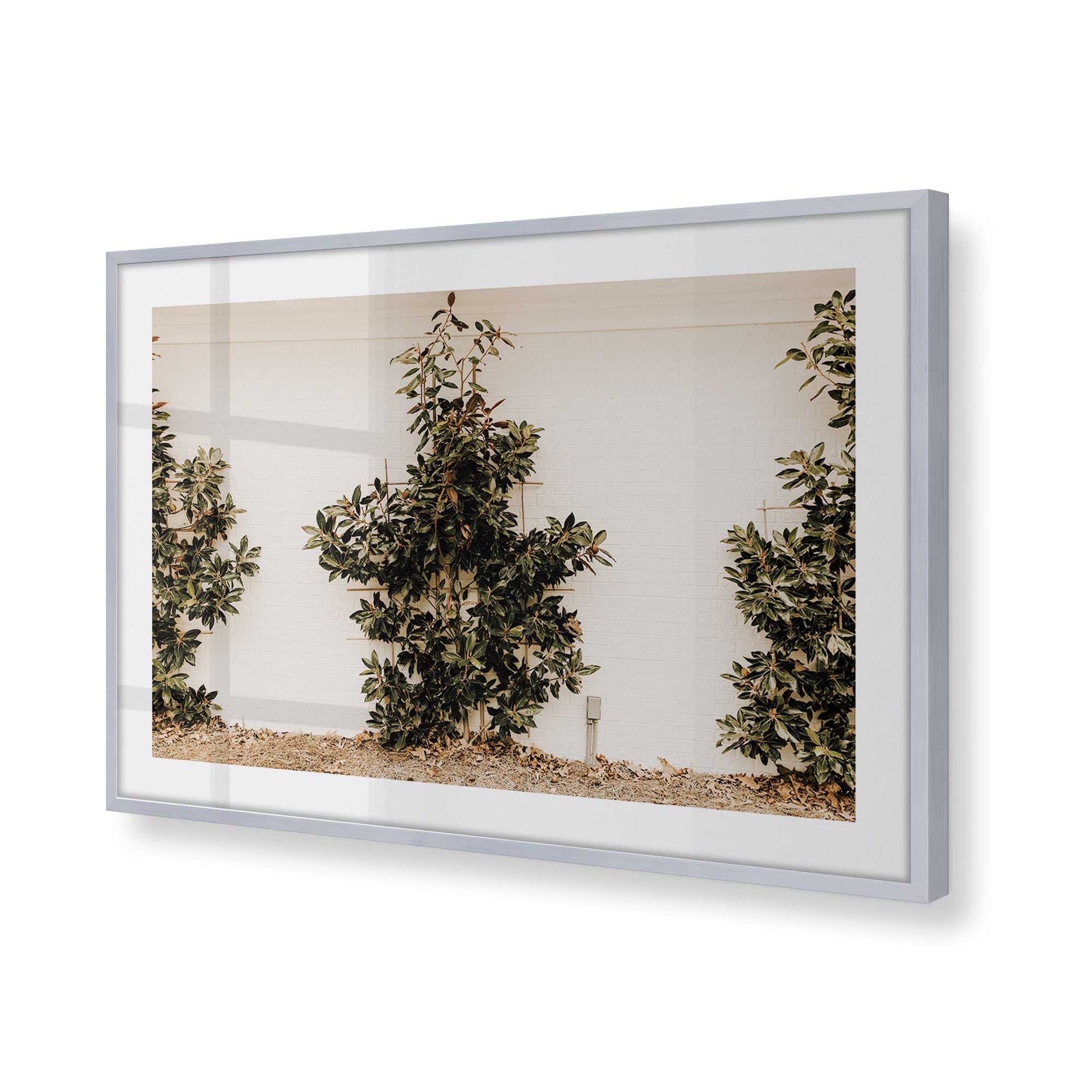 [Color:Polished Chrome], Picture of art in a Polished Chrome frame of the corner