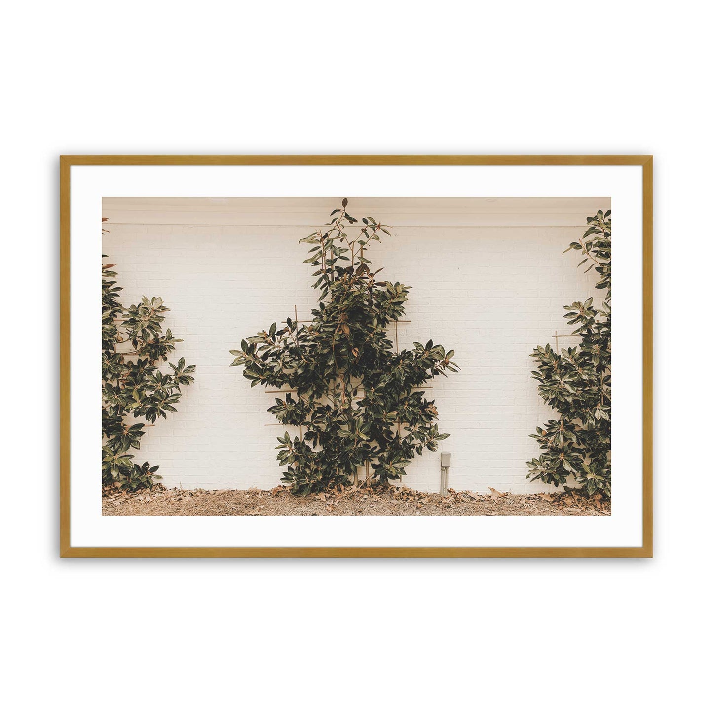 [Color:Polished Gold], Picture of art in a Polished Gold frame