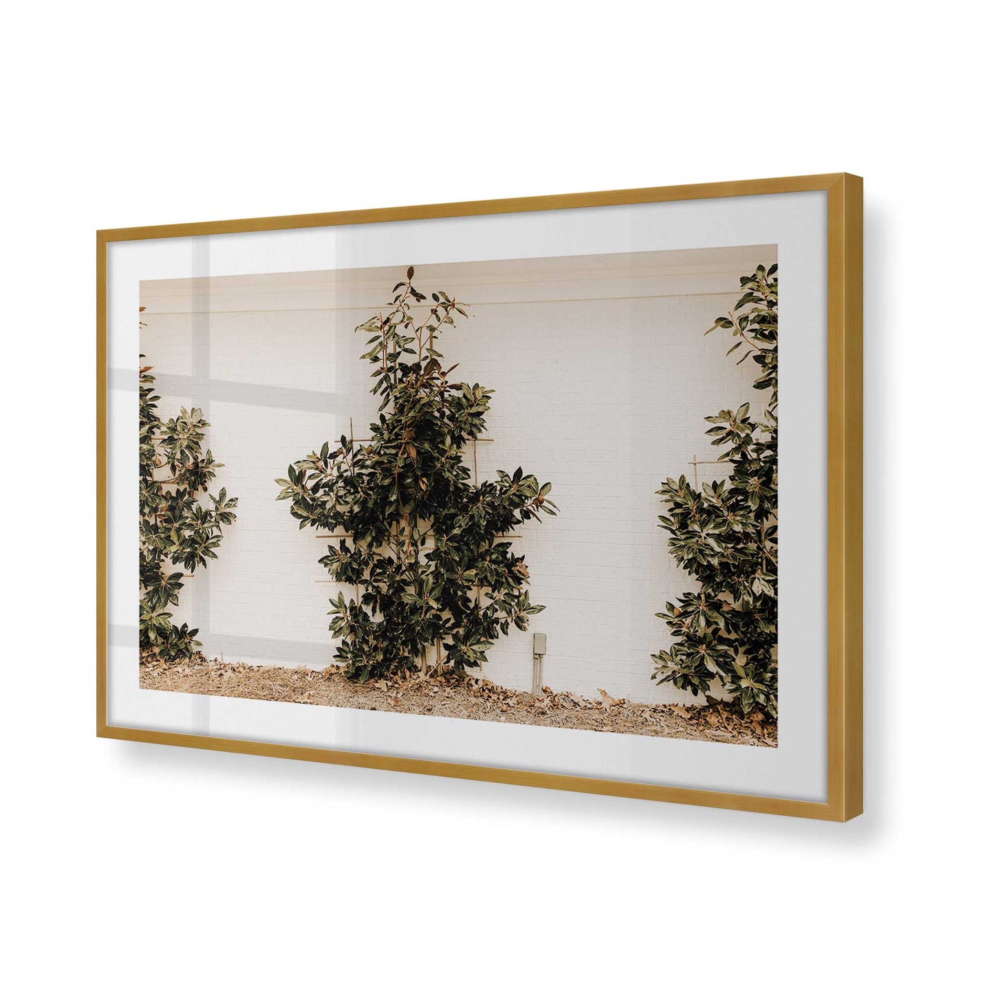 [Color:Polished Gold], Picture of art in a Polished Gold frame of the corner