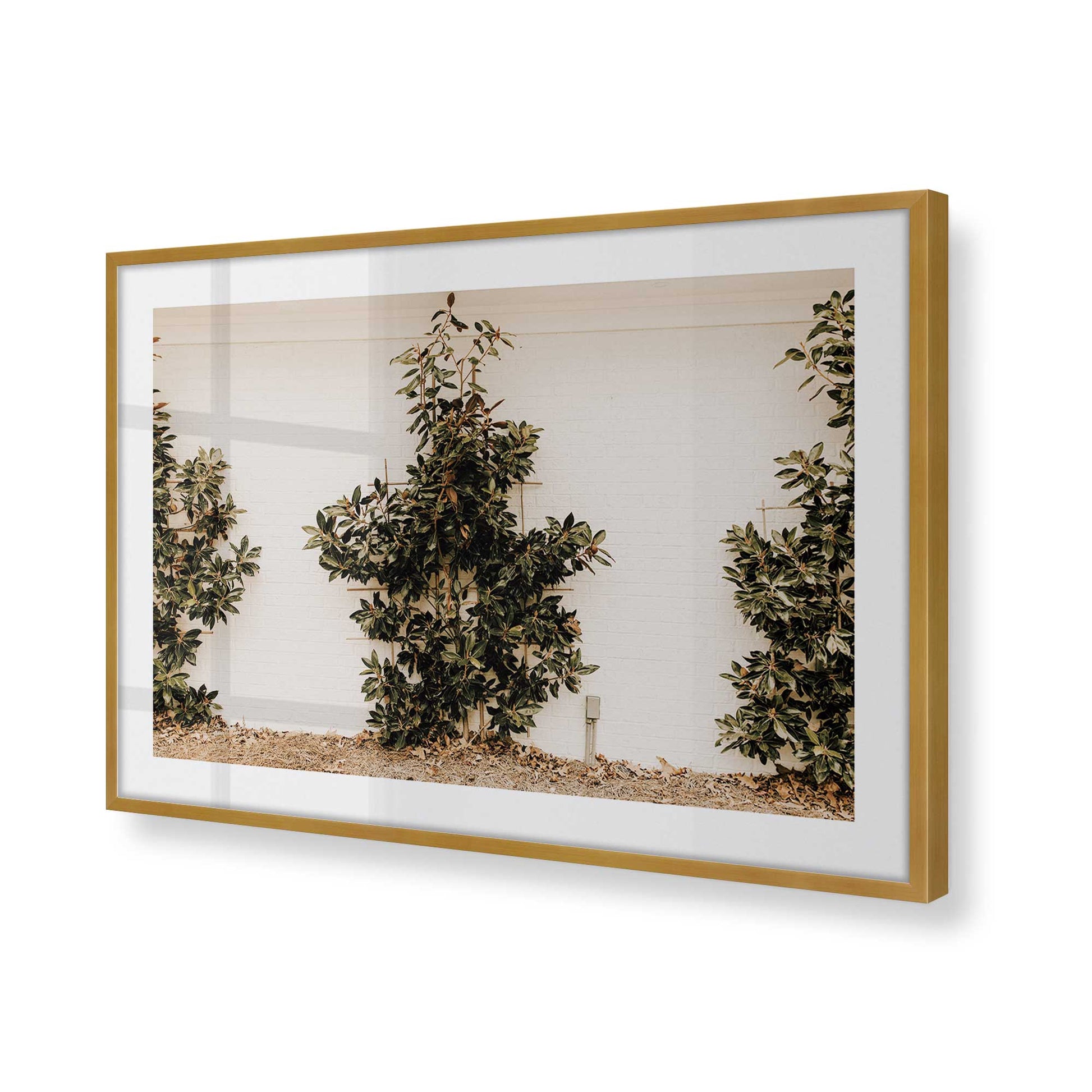 [Color:Polished Gold], Picture of art in a Polished Gold frame of the corner