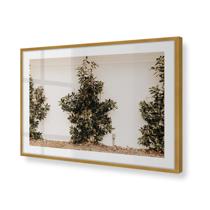 [Color:Polished Gold], Picture of art in a Polished Gold frame of the corner
