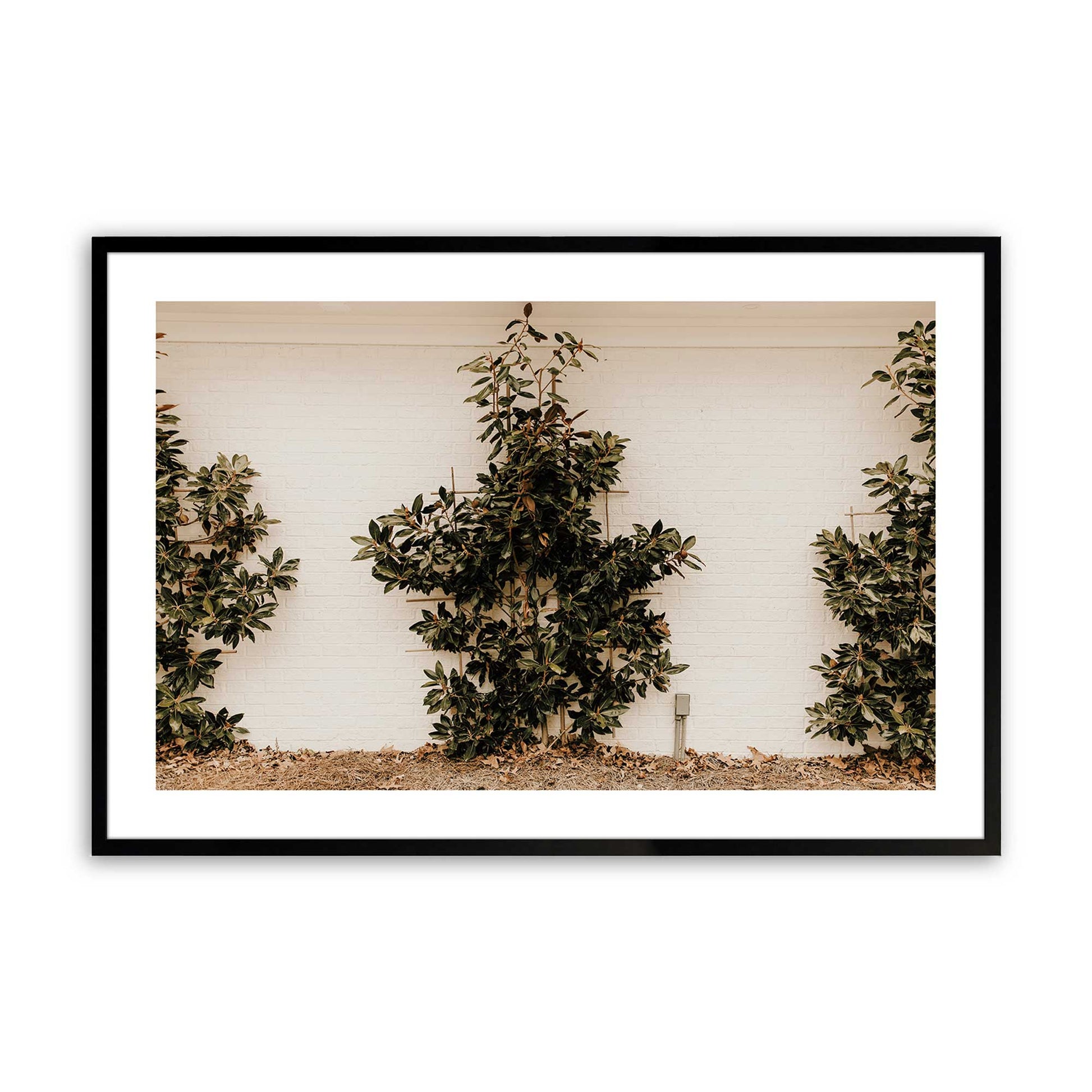 [Color:Satin Black], Picture of art in a Satin Black frame
