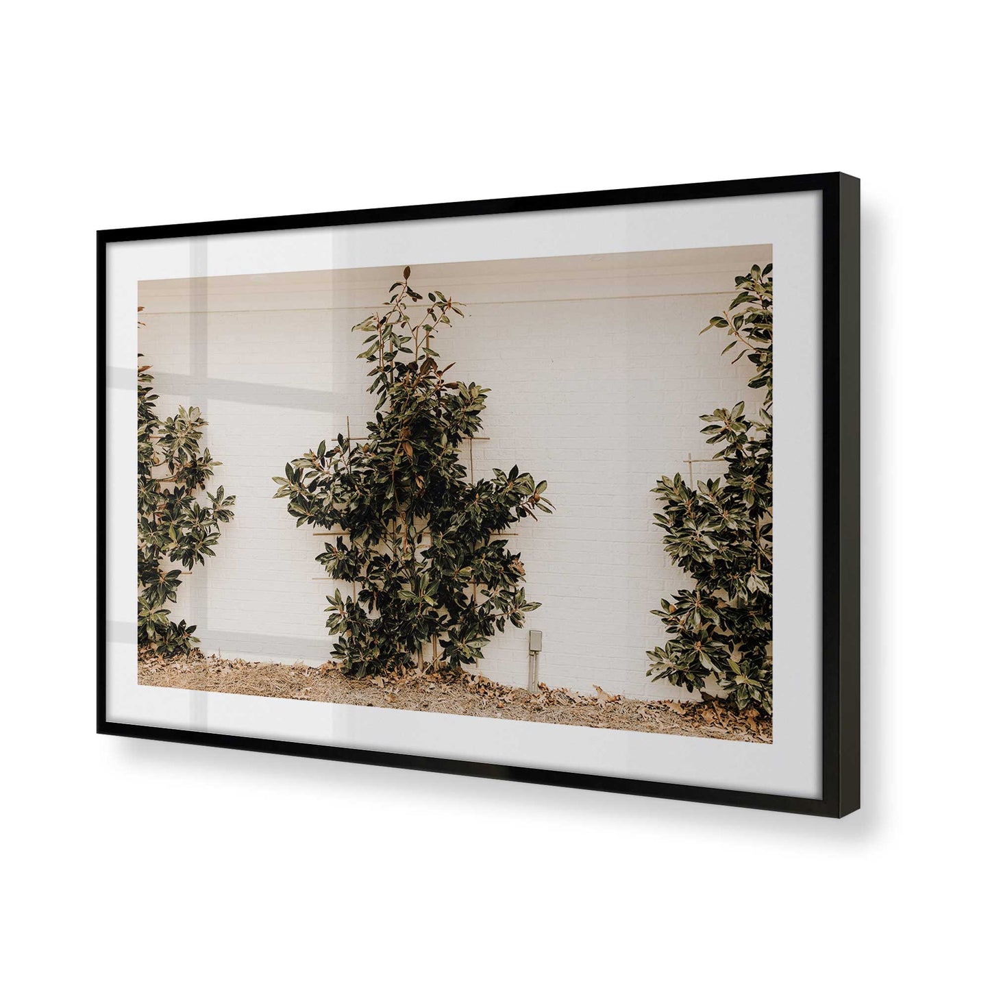 [Color:Satin Black], Picture of art in a Satin Black frame of the corner