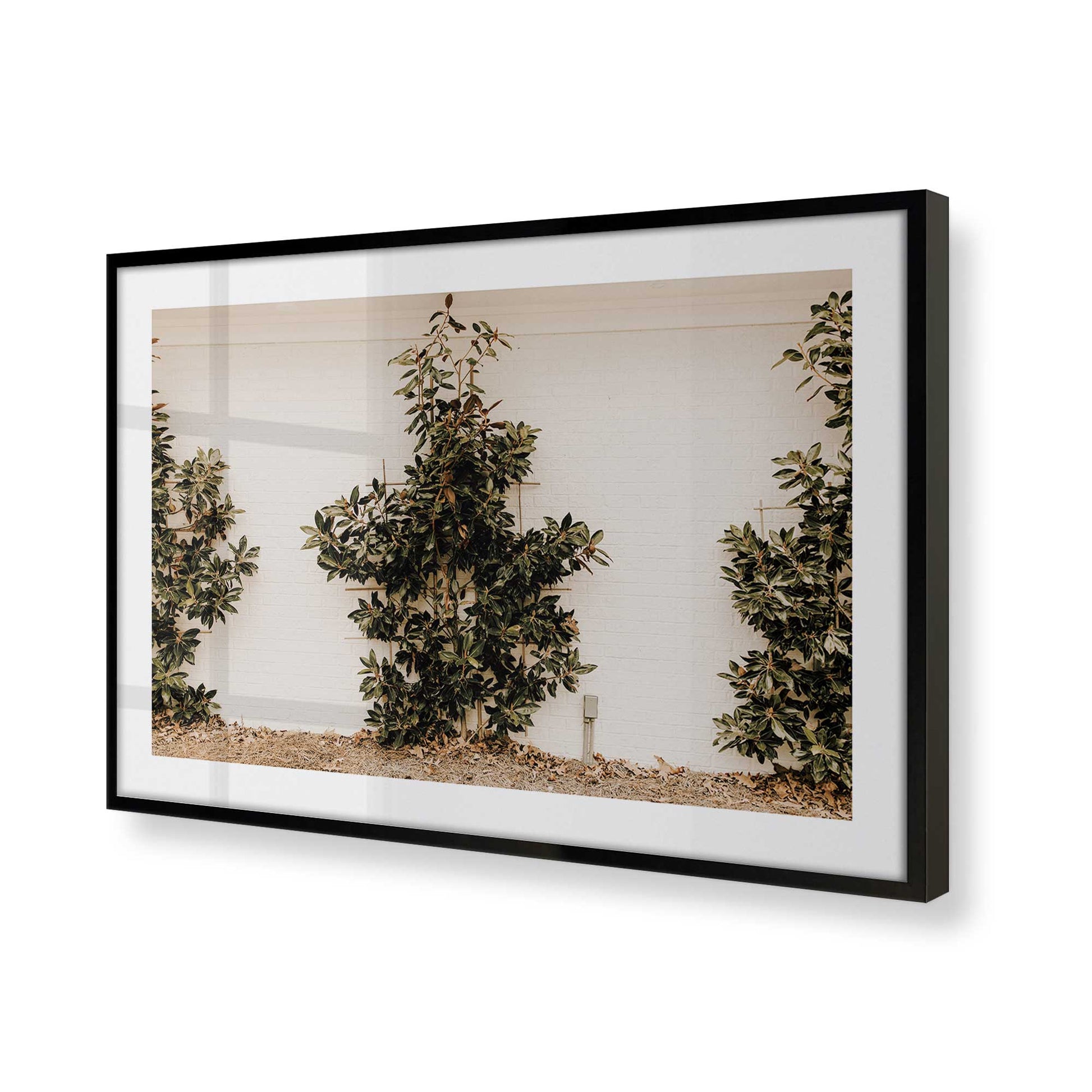[Color:Satin Black], Picture of art in a Satin Black frame of the corner