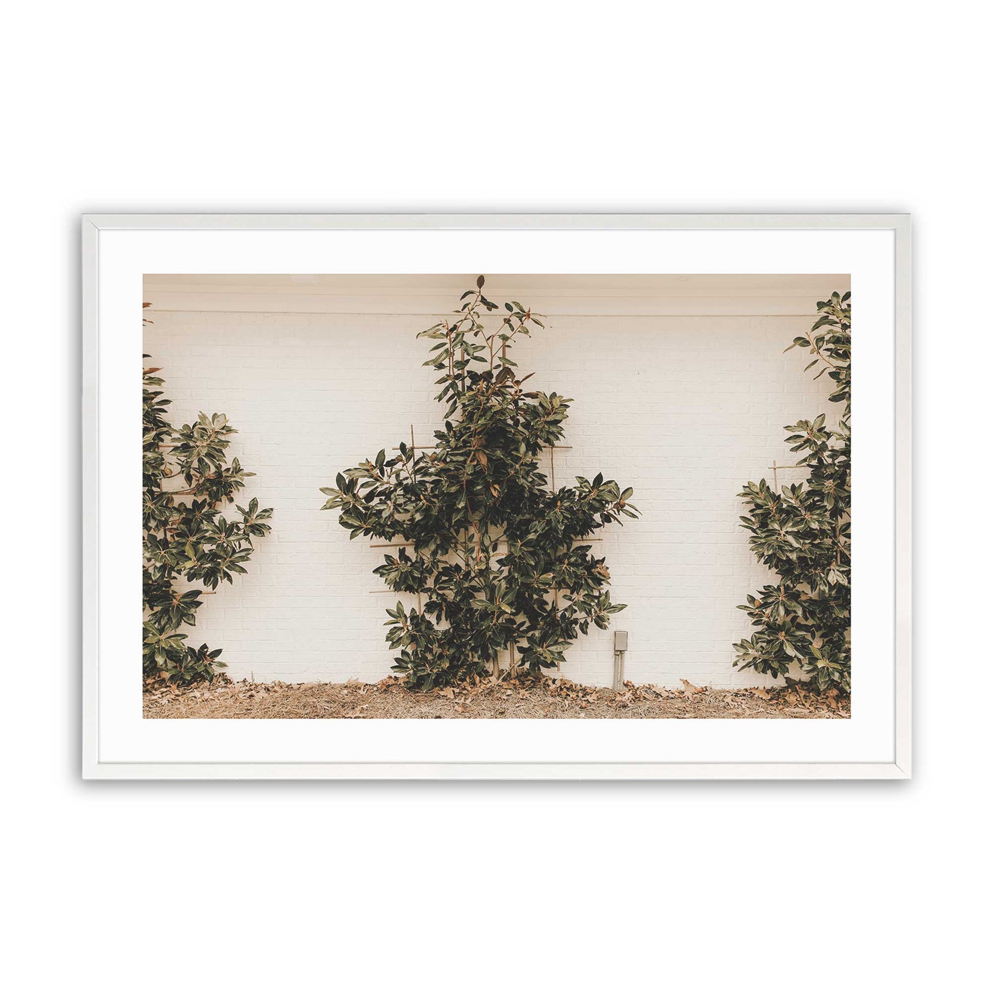 [Color:Opaque White], Picture of art in a Opaque White frame