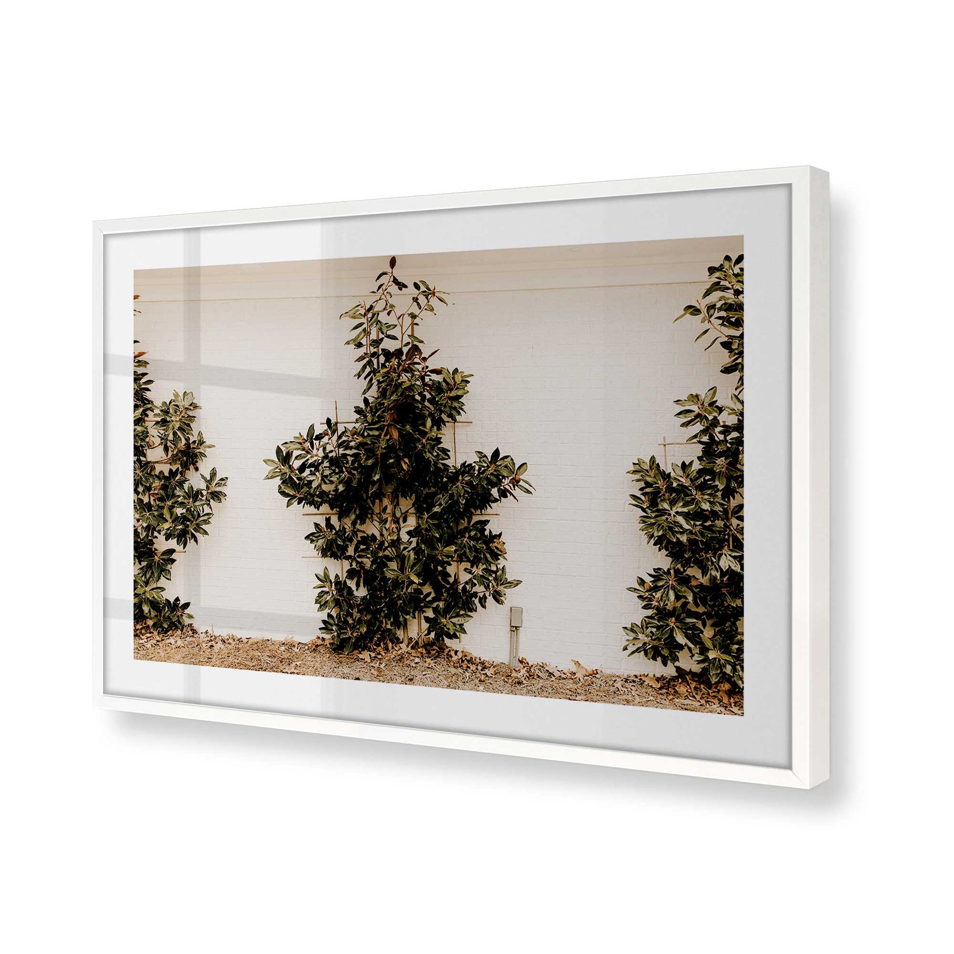[Color:Opaque White], Picture of art in a Opaque White frame of the corner