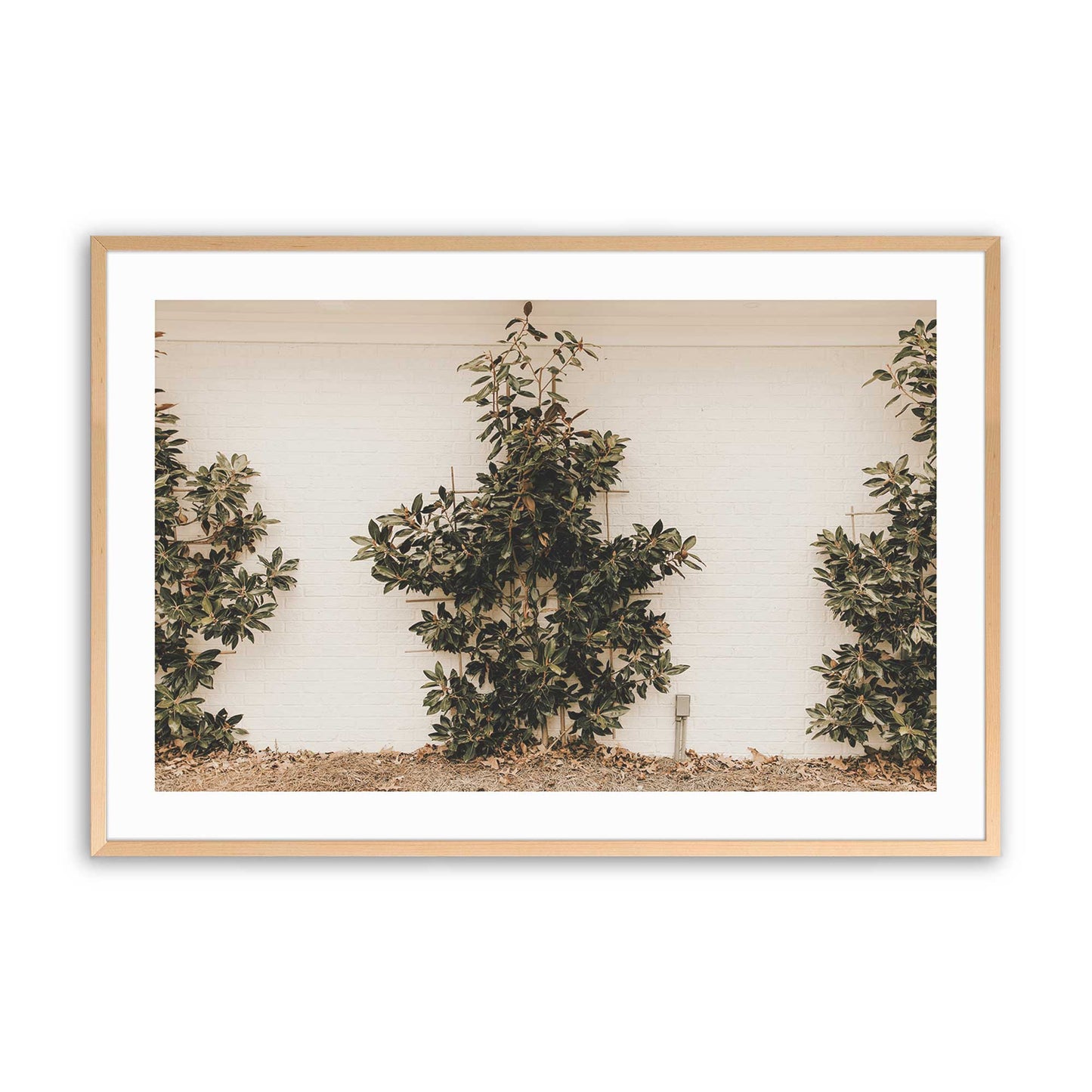 [Color:Raw Maple], Picture of art in a Raw Maple frame