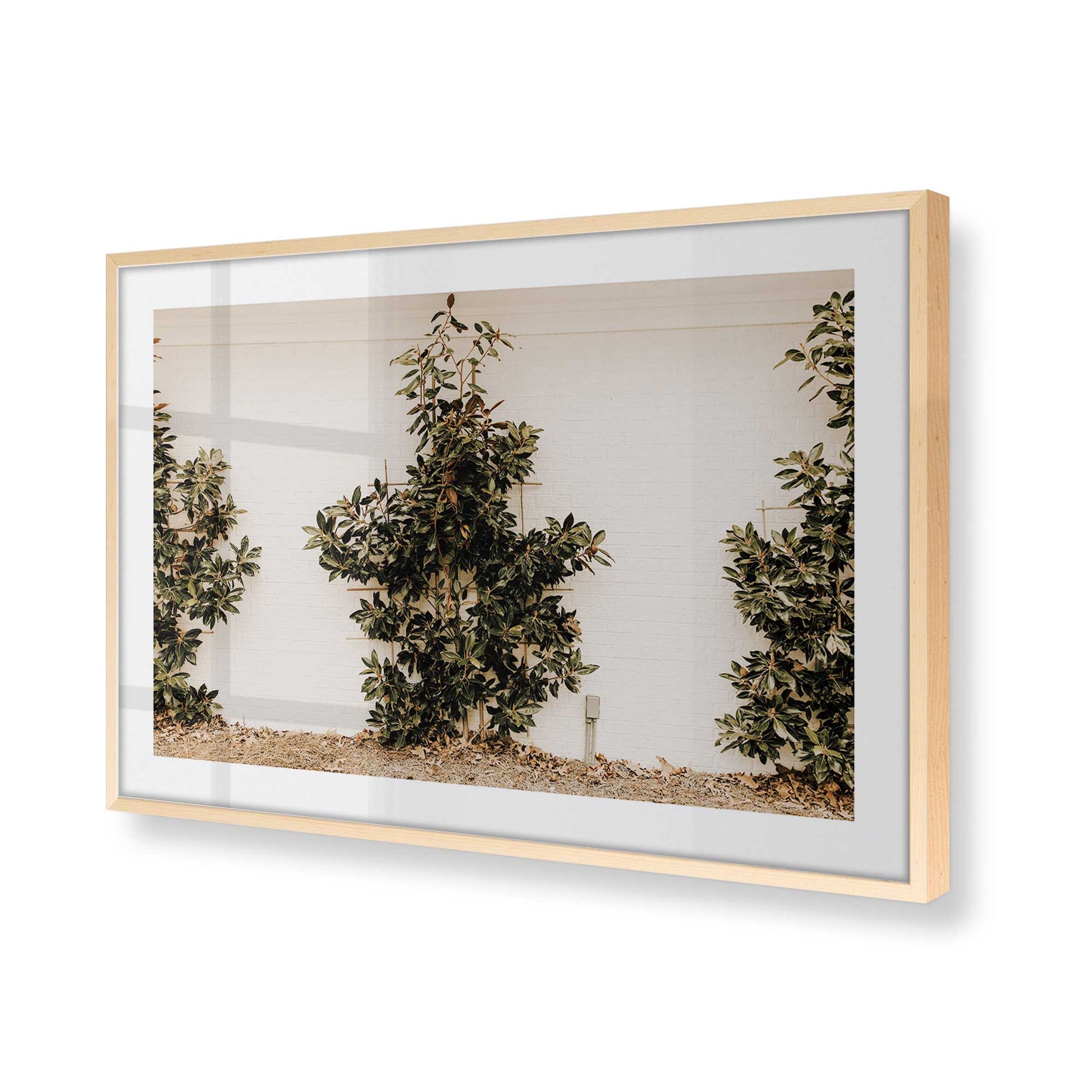 [Color:Raw Maple], Picture of art in a Raw Maple frame of the corner