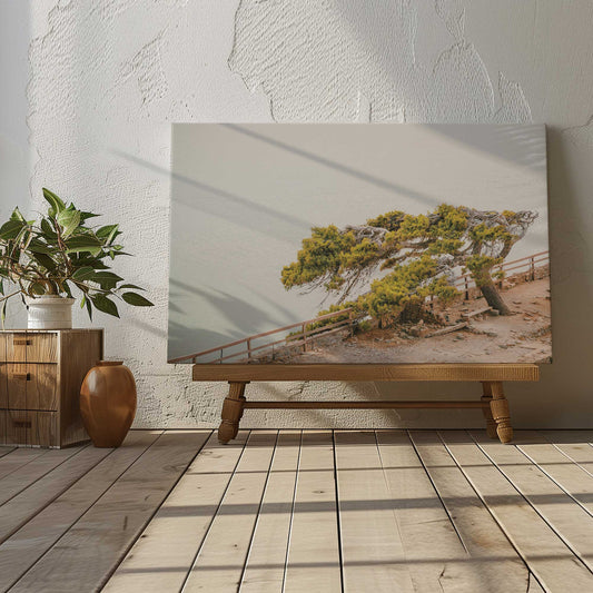 [LIFESTYLE], Picture of art in a room
