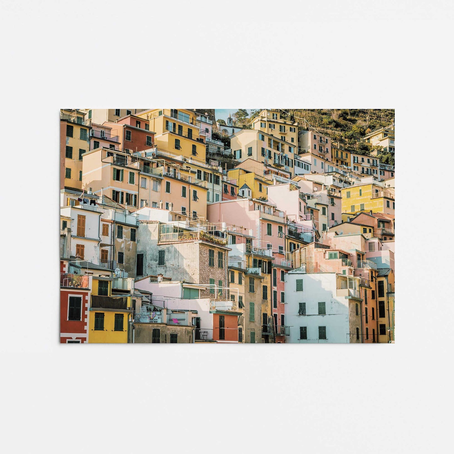 Hillside Palette Promotional Rolled Print
