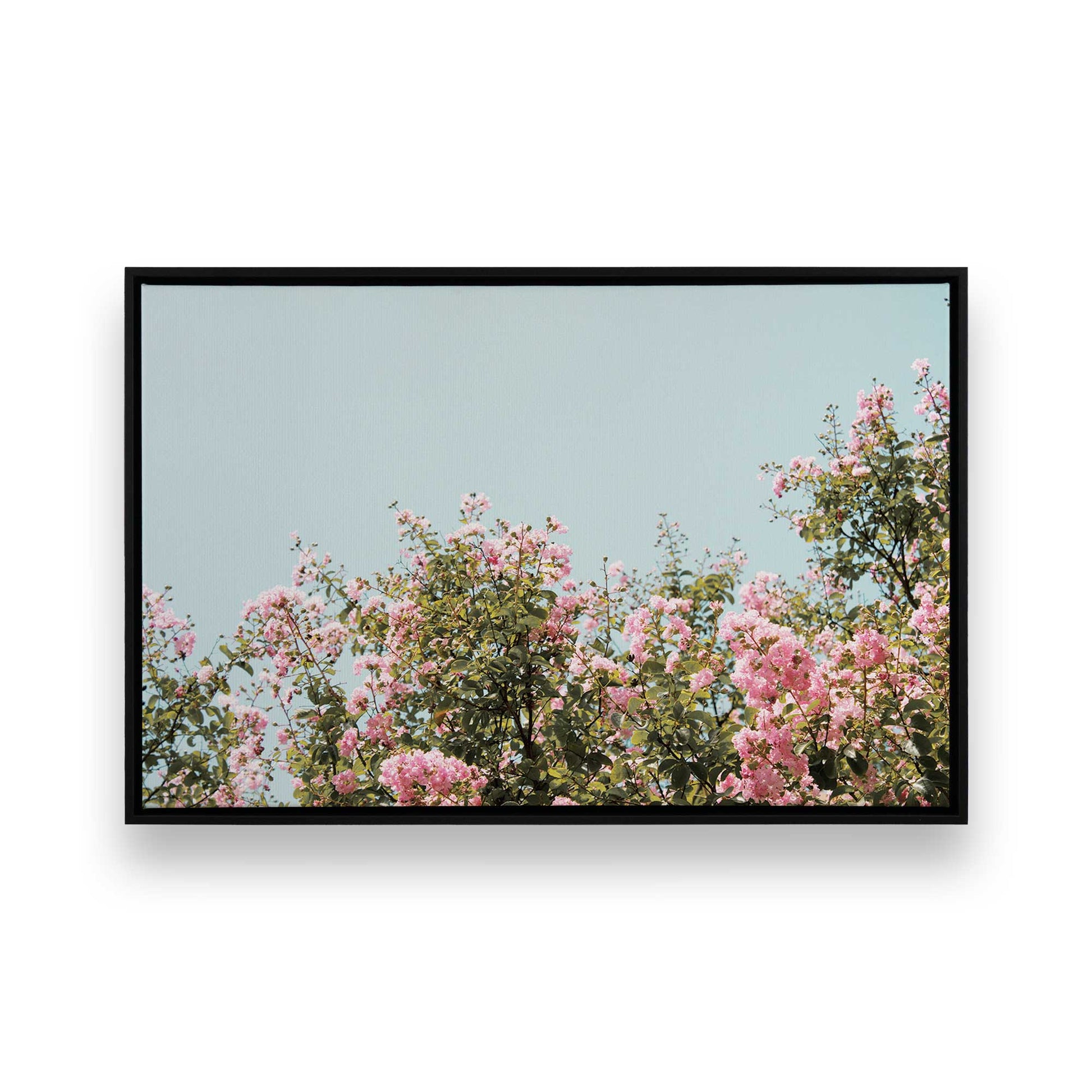 [Color:Satin Black],[SPECIAL], Front image of the art