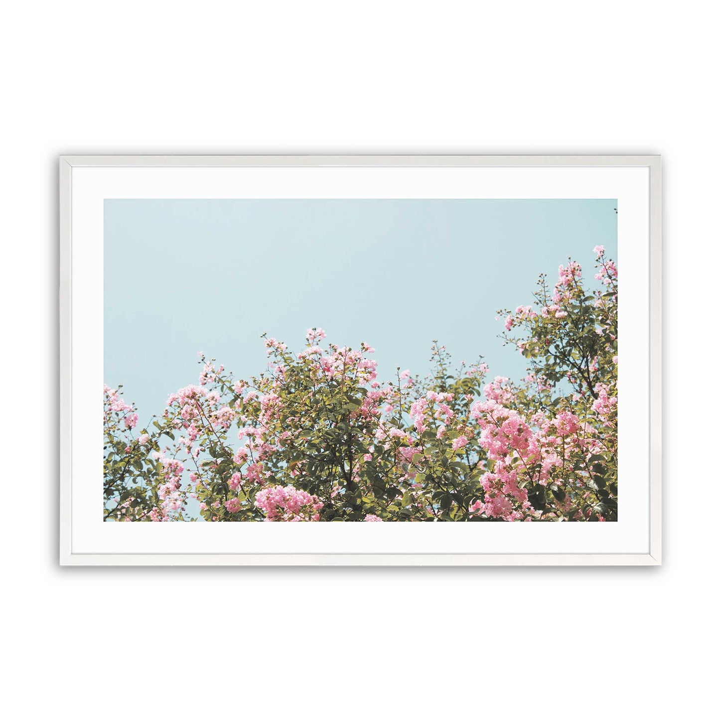 [Color:Opaque White], Picture of art in a Opaque White frame