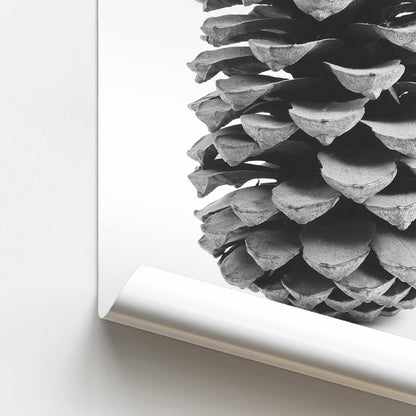 Portrait of a Pinecone Promotional Rolled Print