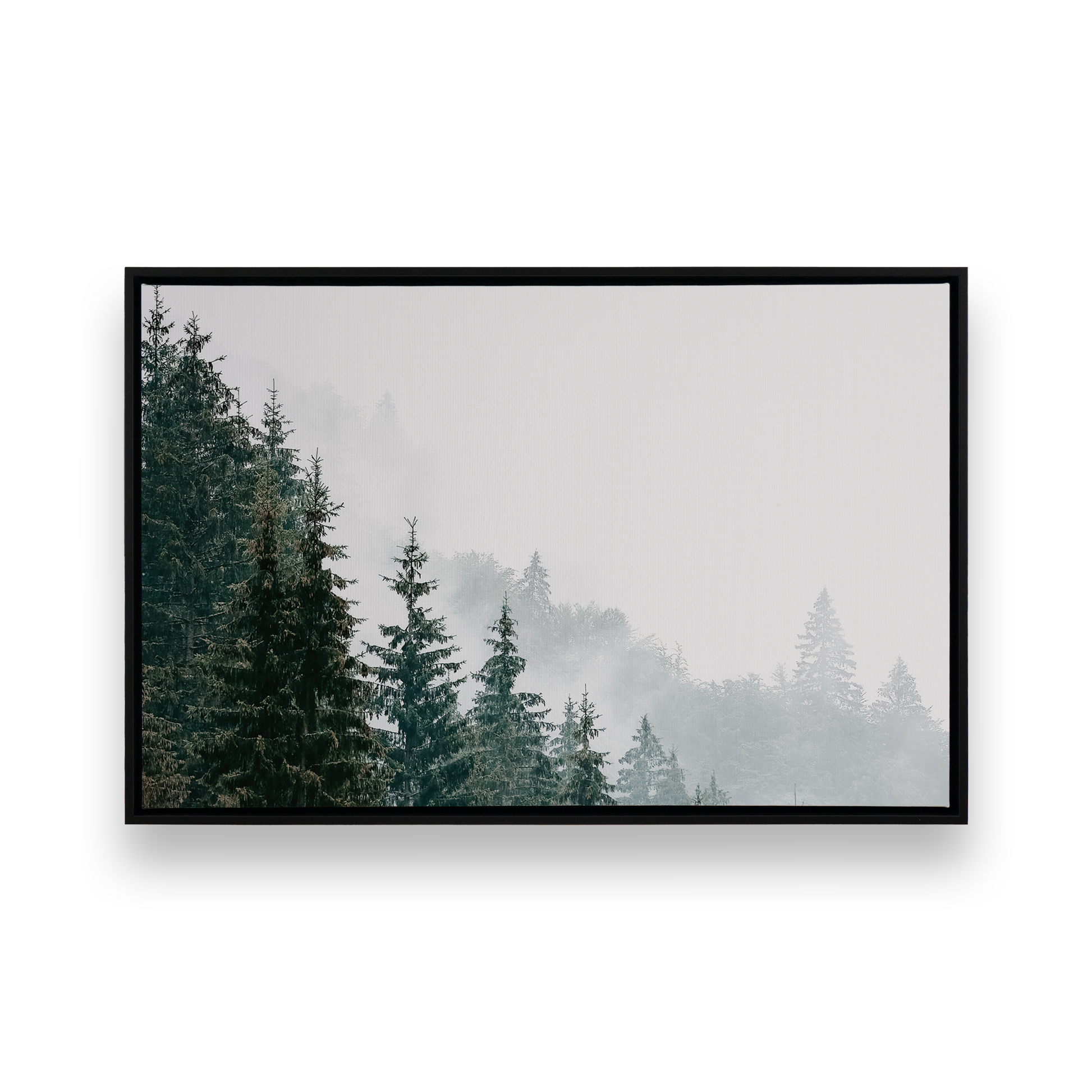 [Color:Satin Black],[SPECIAL], Front image of the art