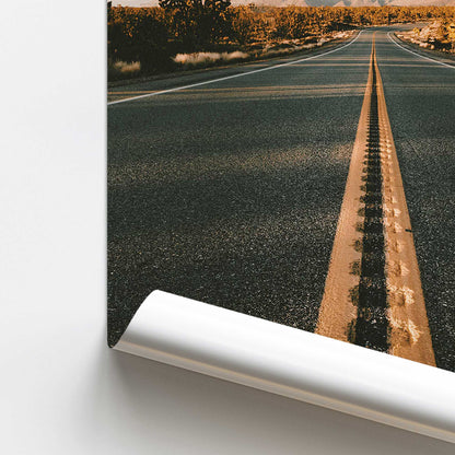 Desert Pathways Promotional Rolled Print