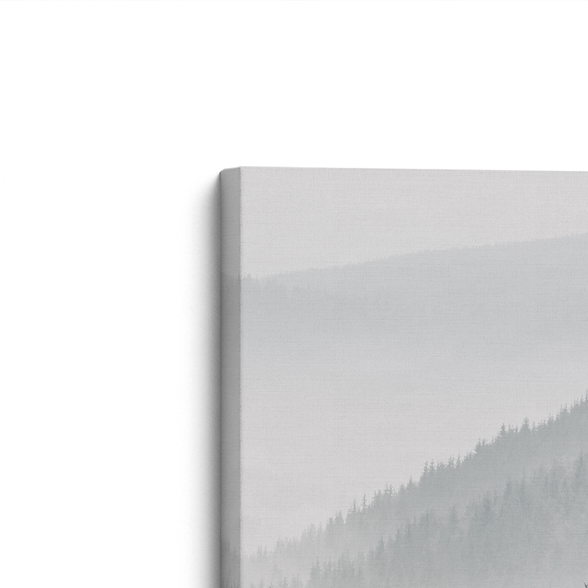 [Color:Stretched Canvas], Picture of art on an angle
